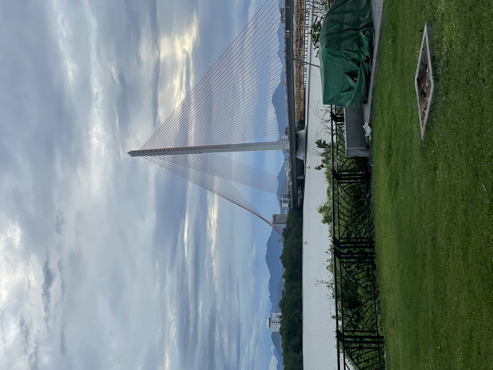 This is a photograph of the Dragon Bridge in Da Nang, Vietnam, taken from a park area on the south bank of the Han River. The bridge, a prominent landmark, is a cable-stayed bridge with a distinctive dragon head design at one end, though only the central pylon and cables are clearly visible in this shot. The sky is overcast with dramatic clouds, suggesting it might be early morning or late afternoon.
In the foreground, there is a well-maintained green lawn with a concrete border, possibly indicating a planter box or a fire pit. To the right of the lawn, a large object is covered with a green tarp, suggesting it is either under construction, being stored, or undergoing maintenance. Beyond the lawn, a black wrought-iron fence with an intricate design separates the park from the river.
The Han River is calm and reflects the muted light from the sky. On the opposite bank, there is a dense line of green trees and vegetation, with several modern buildings interspersed among them. In the distance, a range of hazy blue mountains forms the backdrop to the city. A few small boats or buoys can be seen on the water. The bridge itself is a dominant feature, with its tall, white pylon and numerous red cables fanning out to support the roadway. The roadway of the bridge has vehicles visible, indicating it is in use.
