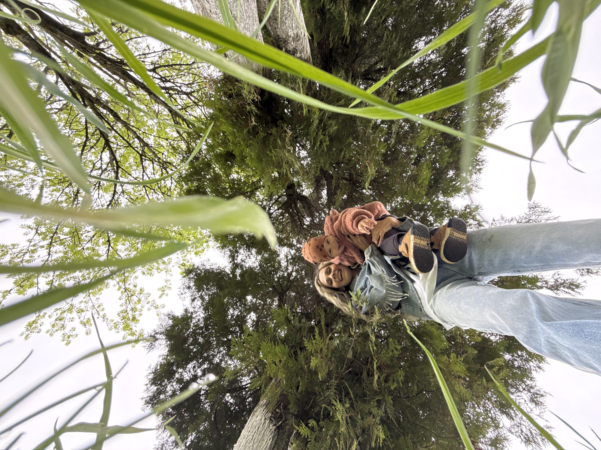 A low-angle shot from below shows a woman holding a child. They are standing under trees, which are viewed upwards. Long, thin green foliage is in the immediate foreground. The woman is wearing light blue jeans and a denim jacket, while the child is dressed in a rust-colored outfit. The child wears brown shoes. There is no indication of the location being in Yaroslavl, Russia.