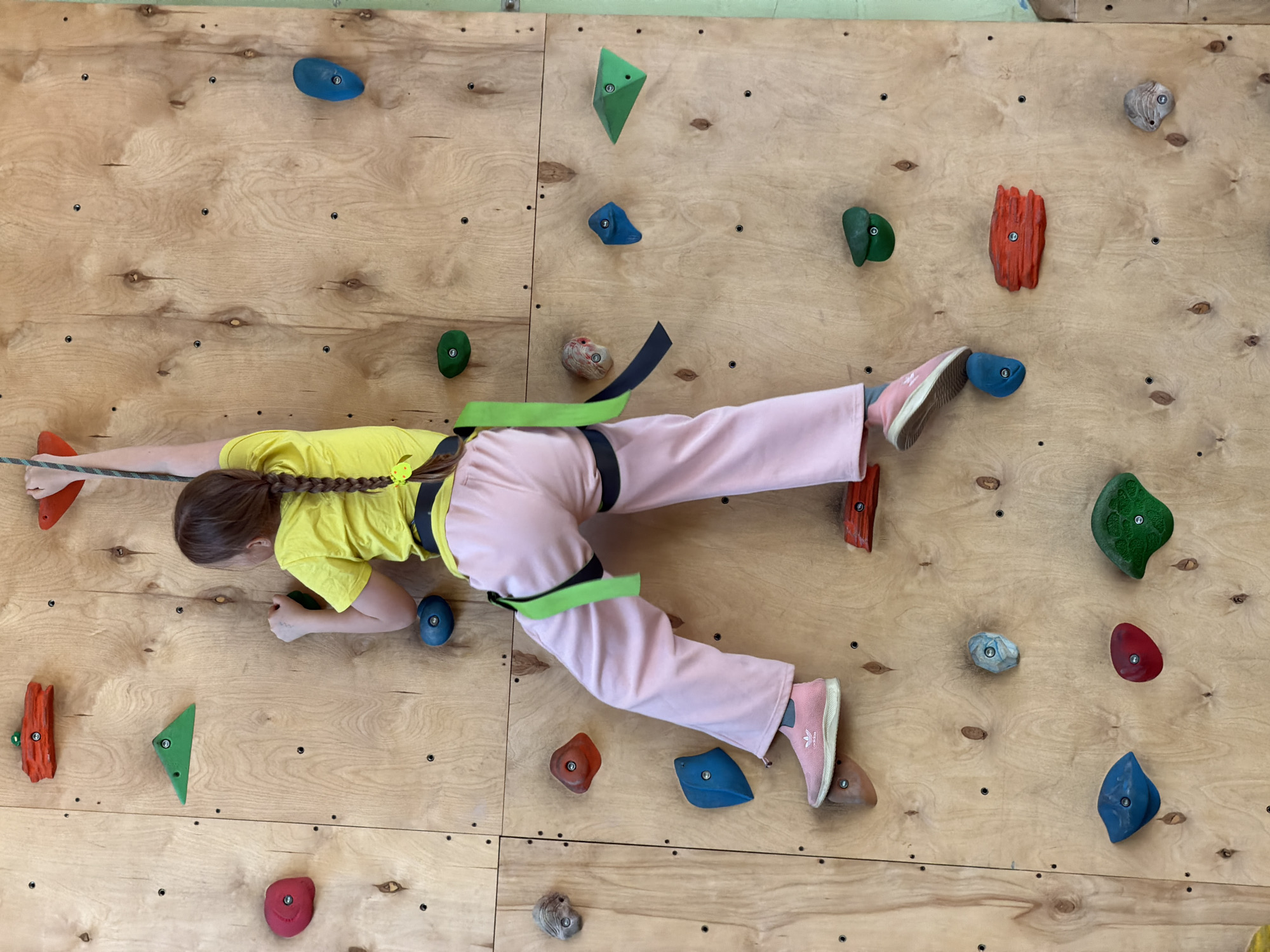 A child, likely a young girl, is actively climbing a wooden bouldering or climbing wall in an indoor facility. She is positioned horizontally across the wall, gripping various colorful climbing holds. The child wears a bright yellow t-shirt, light pink pants, and pink athletic shoes with the "ADIDAS" logo visible on her right shoe. Her brown hair is styled in a braid. She is equipped with a climbing harness featuring green and black straps, from which a rope extends towards the left side of the frame.
The climbing wall consists of light-colored wooden panels, fastened with numerous screws, and features an array of bolted-on rock climbing holds. These holds come in diverse shapes, sizes, and colors, including red, green, blue, and natural stone textures. The child's body is stretched and engaged, demonstrating concentration as she moves across the route. The setting is well-lit, characteristic of an indoor sports venue. This activity is taking place in Izhevsk, Russia.