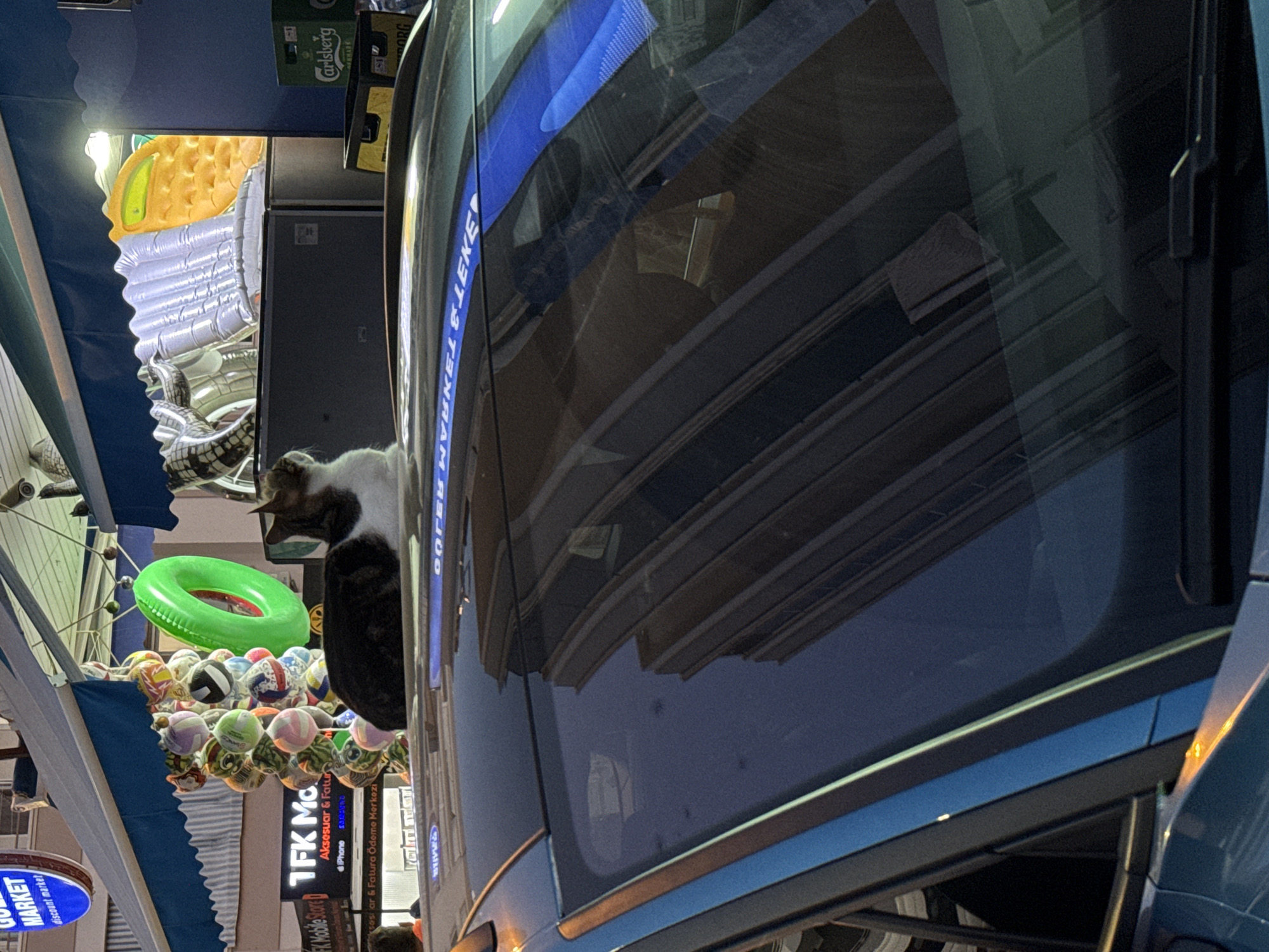 This media file captures a street scene in Alanya, Turkey, likely at dusk or during the evening, given the artificial lighting and reflections. The primary focus is on a large blue vehicle, possibly a bus or a truck, with its windows reflecting the surrounding environment, including buildings with a distinctive architectural style.
In the foreground, to the left of the vehicle, there's a vibrant display of market goods. This includes inflatable items like a yellow ring and a partially visible silver patterned object, alongside a large assortment of colorful balls, suggesting a game or a stall selling toys and novelty items. A green inflatable ring stands out prominently. A dark-colored animal, possibly a cat, is perched on top of some of the merchandise.
Visible text in the image includes signs for "TFK MARKET" and "TFK Mobile Store" with additional text in Turkish, indicating "Aksesuar & Fatura Ödeme Merkezi" (Accessories & Bill Payment Center) and "SAOUNG". Another sign reads "GOLD MARKET discount market". There are also reflections of what appear to be beer crates with "Carlsberg" branding.
The overall impression is one of a bustling urban environment with commercial activity, illuminated by streetlights and the glow from shops and vehicles. The reflections on the vehicle's windows add depth and a sense of atmosphere to the scene.