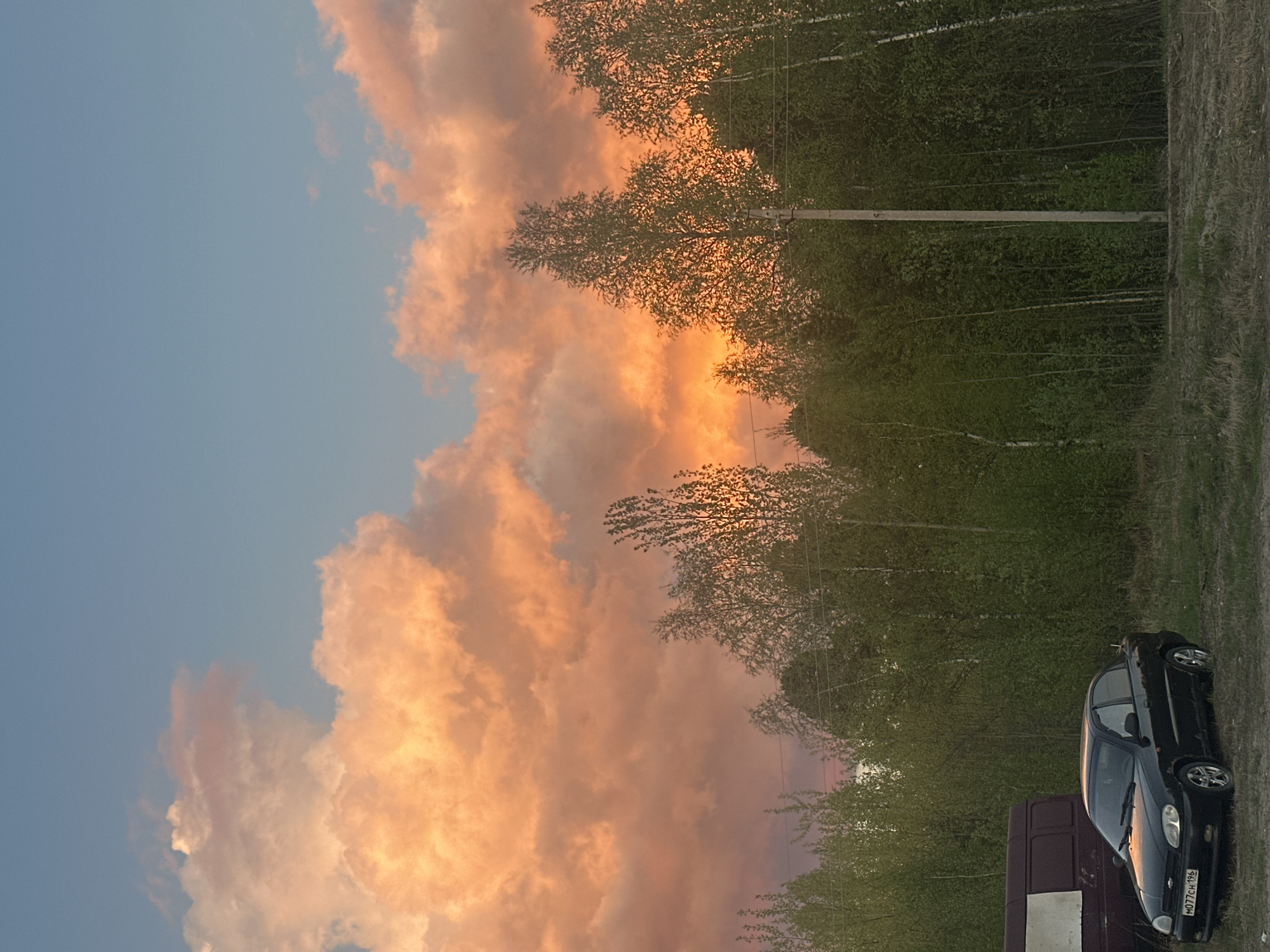 The image displays an outdoor scene at what appears to be either sunset or sunrise, given the dramatic coloration of the clouds. The sky, occupying the upper left portion, transitions from a clear, light blue to a magnificent display of orange, pink, and reddish clouds across the rest of the upper frame. These clouds are large and voluminous, catching the warm light of the sun.
Below the expansive sky, a dense line of deciduous trees, possibly birches, with light green foliage, stretches horizontally across the mid-ground, suggesting early summer or spring. A utility pole with wires is visible among the trees, extending through the scene. The foreground consists of a patch of unpaved ground, a mix of dry grass and dirt.
Two vehicles are parked on the right side of the foreground. A dark-colored (likely black) hatchback car, resembling a Daewoo Lanos, is clearly visible, with the colorful sky reflected on its front hood. The car's front license plate shows the characters "м077сн 196". The "196" is a Russian regional code for Sverdlovsk Oblast, aligning with the provided location context of Высокий, Russia. Partially obscured behind the black car is the rear portion of a dark-colored (possibly maroon or dark red) van, which has a distinct white rectangular panel on its back door.
The scene conveys a peaceful and serene atmosphere, with no human activity visible. The vibrant cloudscape is the most striking feature, lending a beautiful backdrop to the simple roadside setting.