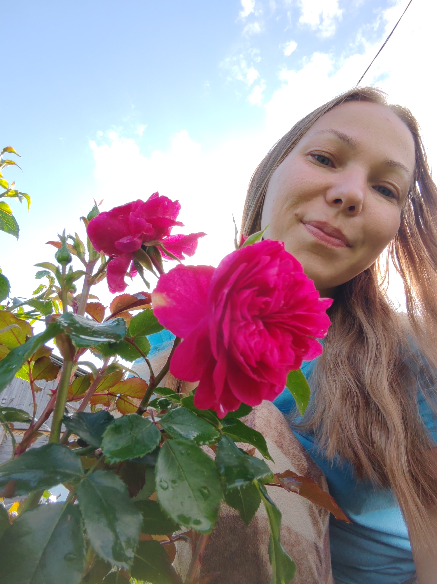 A young woman is taking a selfie in front of a rose bush under a bright blue sky with scattered clouds. The woman has long, light brown hair and is smiling at the camera. She is wearing a blue shirt. The rose bush has several bright pink roses and green leaves, some of which are wet with water droplets. The background appears to be a wooden fence. The image was taken outdoors, possibly in a garden in the city of Chukhlem, Russia.