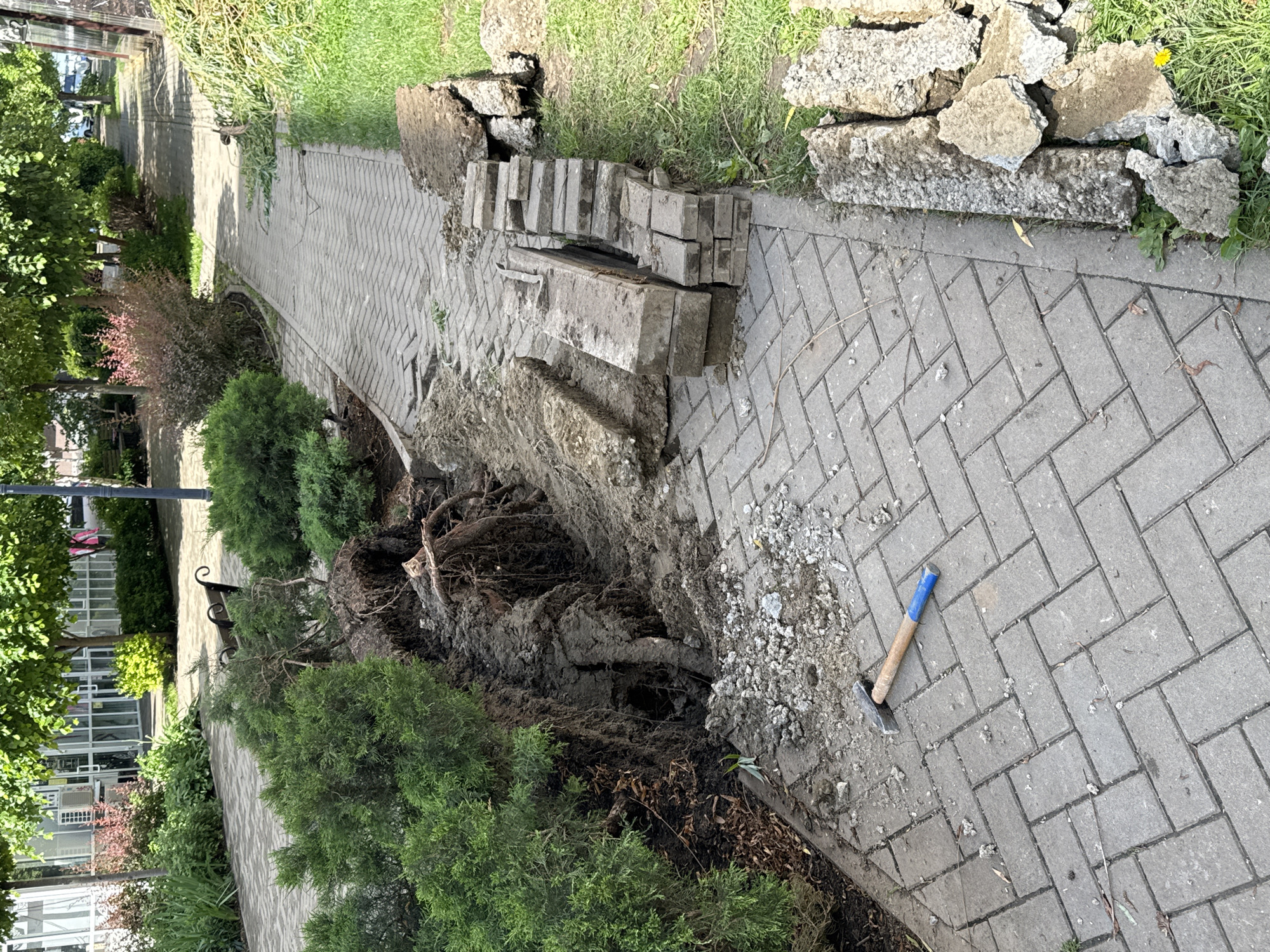 The scene is a section of a paved walkway in Krasnodar, Russia. The walkway is constructed of grey brick pavers laid in a herringbone pattern. The walkway has been disrupted, with the pavement and underlying soil upheaved and cracked. Stacks of removed brick pavers and debris are piled alongside the walkway. The roots of adjacent bushes or trees are exposed in the damaged area. A hammer with a blue handle lies on the walkway near the disruption. The environment includes green shrubbery and grass, indicating a park or garden setting. Buildings are visible in the background. There are no people visible.