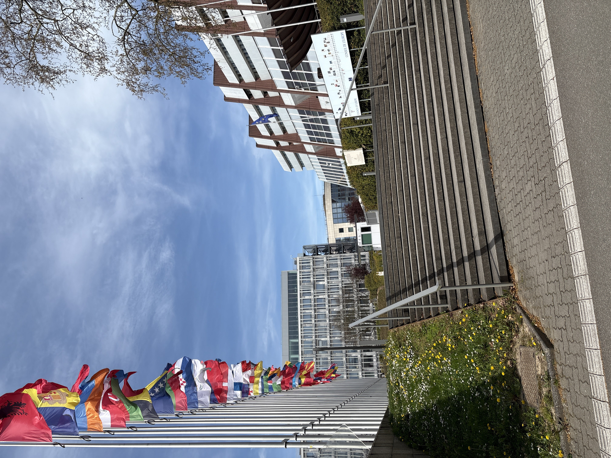 The image shows an exterior view of the Council of Europe in Strasbourg, France, with a row of flags of member states displayed in the foreground. The buildings have modern architectural designs, featuring windows and geometric patterns. The sky is blue with wispy clouds. A path or walkway is visible on the right side of the image, alongside a grassy area with small flowers. Bare tree branches are visible in the upper left corner. A sign with multiple images is attached to the building.