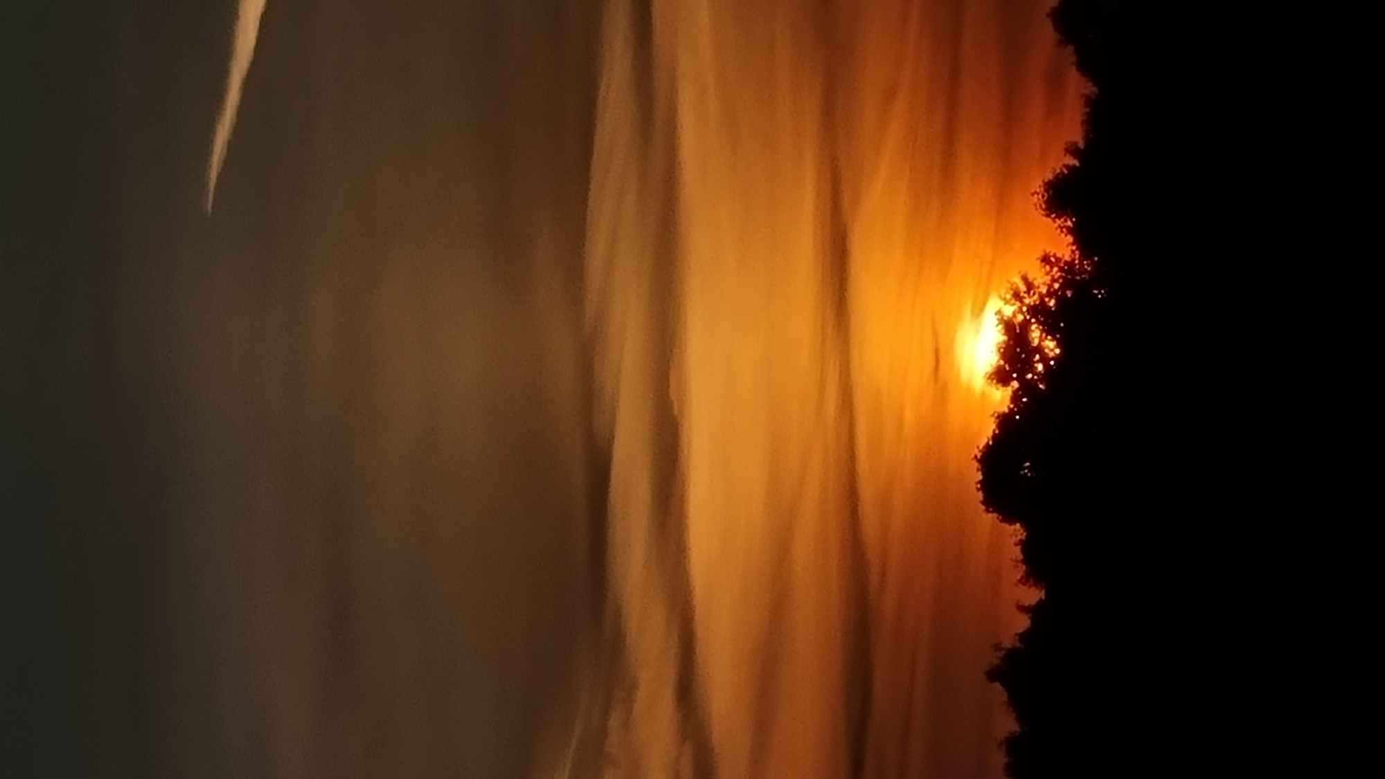 An image captures a sunset over the city of Vysokoe, Russia. The sky is a gradient of dark brown at the top, transitioning to a vibrant orange, and then a bright yellow near the horizon where the sun is setting. There are wispy clouds scattered across the sky. A contrail from an aircraft is visible in the upper right quadrant of the image. The foreground is dominated by a silhouetted line of trees, dark against the brightly lit sky. The overall impression is a tranquil, natural landscape at dusk.