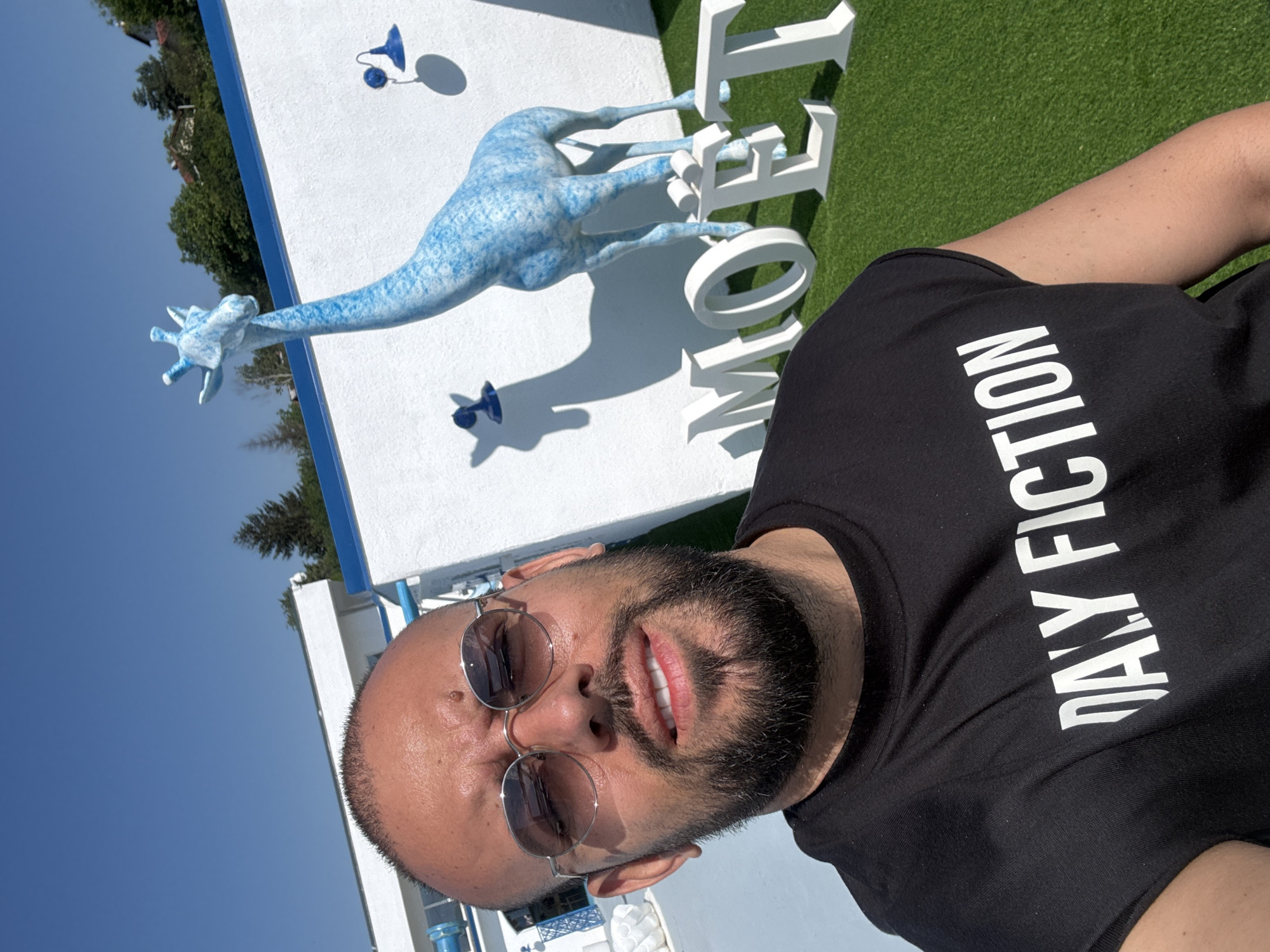 A man with a beard and sunglasses is taking a selfie outdoors. He is wearing a black t-shirt with white lettering that reads "DAILY FICTION." Behind him, a large blue giraffe statue stands on a patch of artificial grass. White letters spelling "MOET" are also placed on the grass. A white building with blue trim and decorative lighting is visible in the background, along with trees and houses on a hillside. The sky is clear and blue. The image appears to be taken in Baliovtsi, Bulgaria.