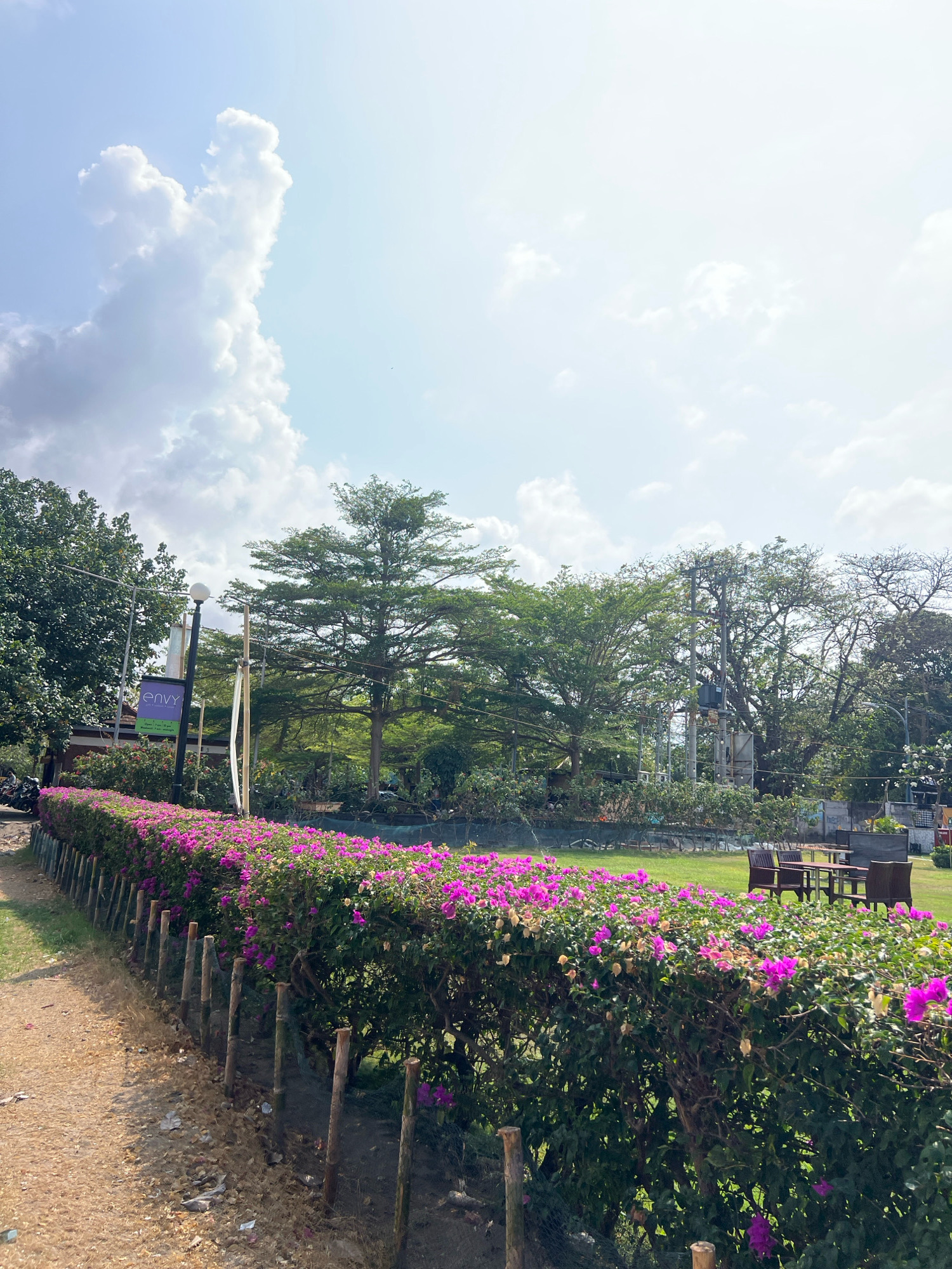 This is a photograph taken at "envy" restaurant and bar in Kuta, Indonesia. The image captures an outdoor seating area with a pathway on the left, leading into the establishment. A lush hedge of pink bougainvillea flowers runs along the pathway, bordering a neatly manicured green lawn. In the background, several trees provide shade, and outdoor tables and chairs are visible, suggesting a relaxed dining or lounge atmosphere. The sky is bright and partly cloudy, indicating it is daytime. There are no visible people actively engaged in the scene, though a motorcycle is parked on the left side of the pathway, implying the presence of patrons.