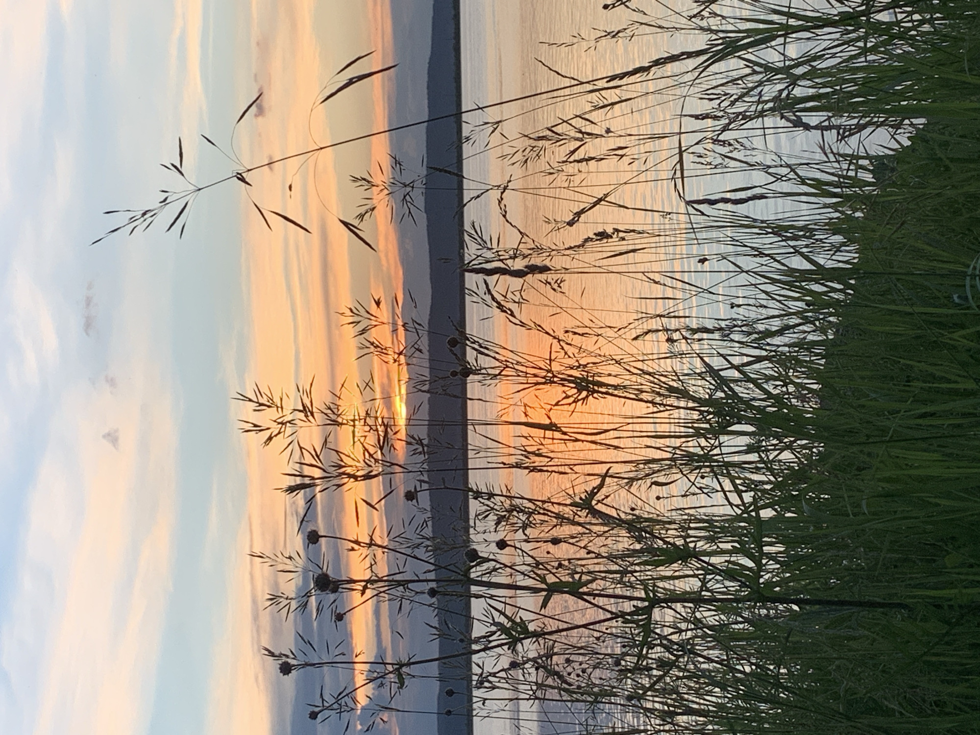 The image depicts a serene sunset over a body of water, likely the Kama River, near Chaikovsky, Russia. The foreground is dominated by tall grasses and reeds, silhouetted against the warm hues of the sky. The sunset paints the sky in shades of orange, pink, and blue, with soft clouds scattered across. The water reflects the vibrant colors of the sunset, creating a shimmering effect. In the distance, a dark, low-lying silhouette of hills or a shoreline is visible. No people or man-made structures are apparent in the scene, suggesting a natural, tranquil setting. The overall impression is one of peacefulness and the beauty of nature at dusk.
