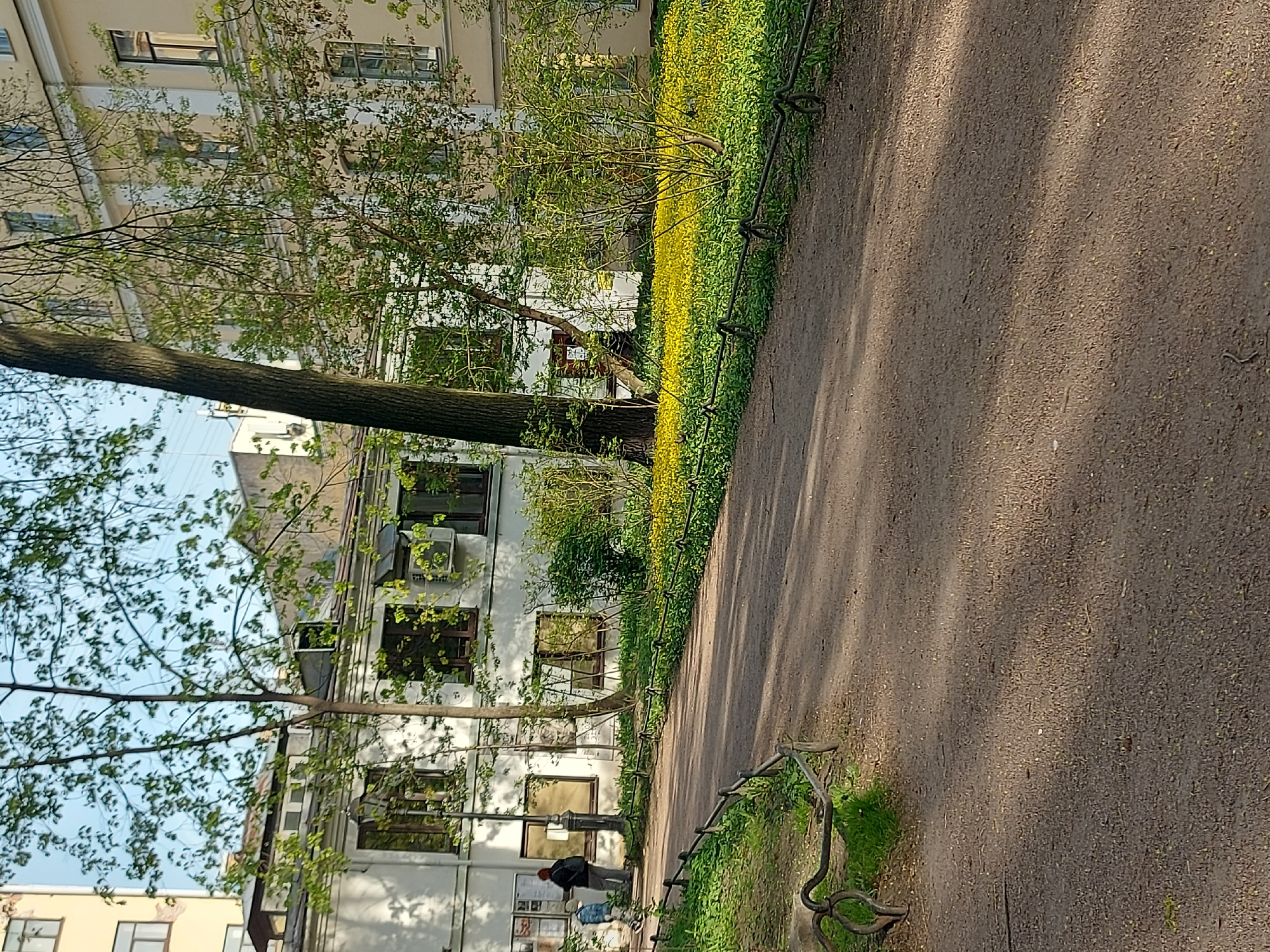 The image depicts a path adjacent to a building in Saint Petersburg, Russia. The path is made of compacted dirt. A low, ornate metal fence borders the path, separating it from a strip of green vegetation and yellow flowers. The building has light-colored walls and dark-framed windows. Trees are interspersed between the building and the path, casting shadows across the path. A lamppost is also visible along the path. Two individuals are near a bulletin board. One is walking near the bulletin board.