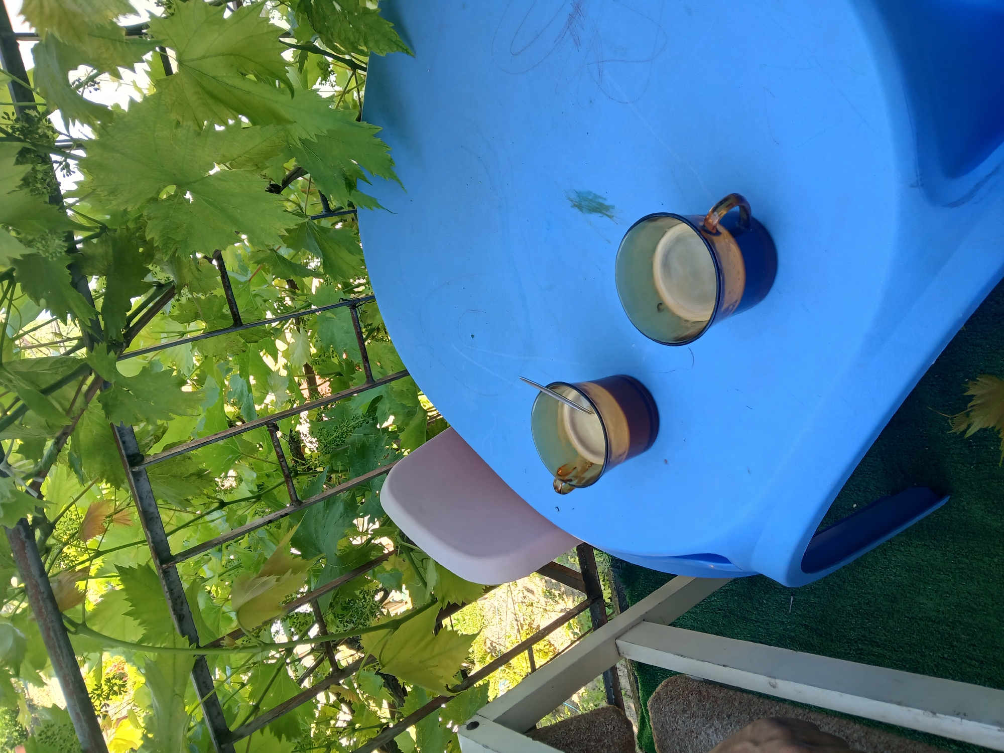 In Obrochishte, Bulgaria, two cups of coffee sit on a blue plastic table beneath a vine-covered trellis. The table is outdoors, indicated by the dappled sunlight and green foliage overhead. One cup, closer to the viewer, has a spoon resting inside. A pink chair is partially visible behind the table. The area appears to be a patio or garden space, with artificial turf on the ground. The overall impression is of a quiet, relaxed outdoor setting.