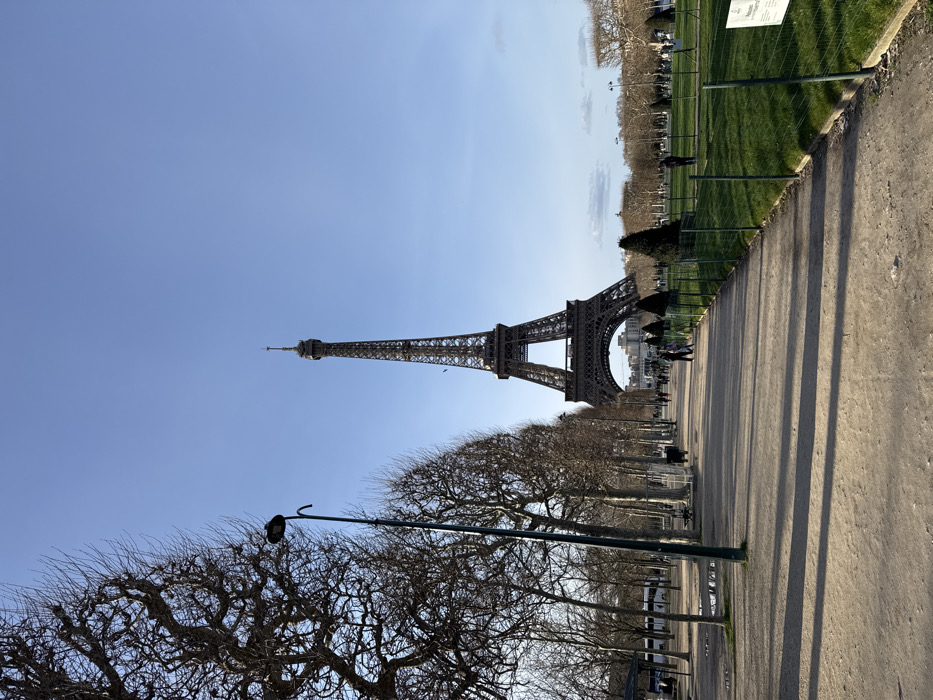 Eiffel Tower dominates the frame under a bright blue sky. A paved pathway runs along the right, bordered by a strip of green grass and a chain-link fence. Rows of bare trees with intricate branches line the left side of the path. A solitary lamppost stands among the trees. The image is slightly tilted counter-clockwise.