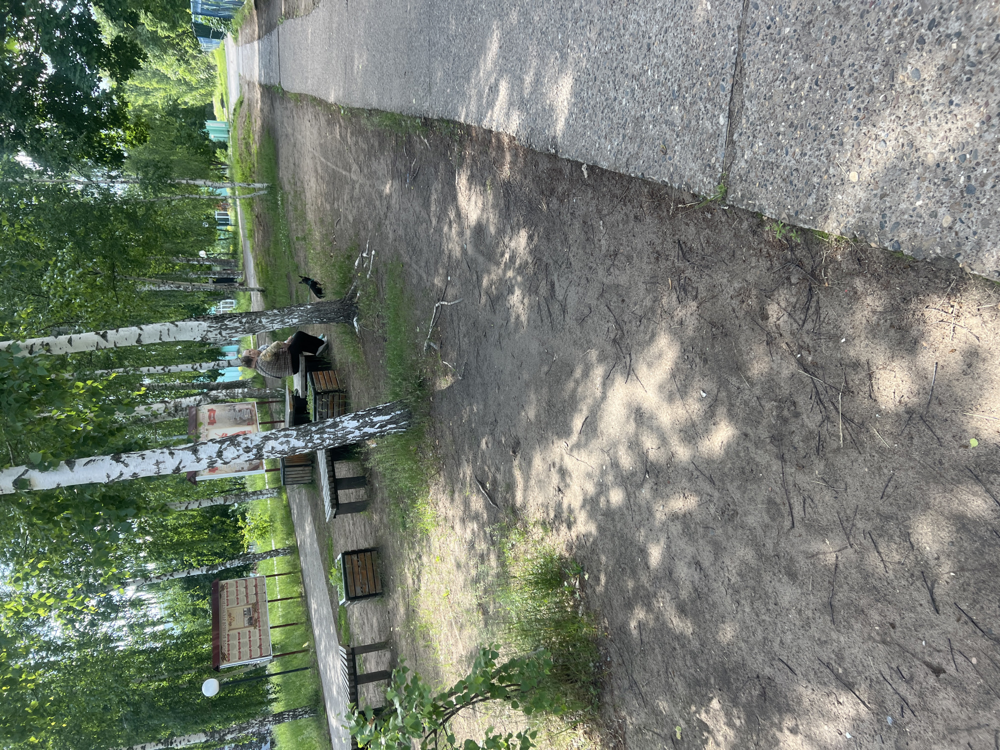 The image portrays an outdoor recreational area in Noviy, Russia, under natural daylight conditions. The environment is characterized by numerous tall birch trees with white bark and vibrant green foliage, which cast a pattern of dappled shadows across the ground. The ground surface consists primarily of packed earth with intermittent patches of grass and scattered small branches and organic debris. A paved concrete pathway, composed of an exposed aggregate finish, defines the right boundary of the foreground and extends into the background.
In the middle-left section of the image, an elderly individual is seated on a slatted wooden bench. This person is attired in a light-colored, possibly patterned, vest worn over a long-sleeved shirt, paired with dark trousers. Adjacent to the seated person, a small black dog stands on the ground.
Within the mid-ground and background, additional identical slatted wooden benches are visible, interspersed with square wooden planter boxes containing small green plants. Two large, rectangular information boards are prominently displayed on posts in the background-left. The left board features Cyrillic text, including "ГЕРОЙ ВЕЛИКОЙ ОТЕЧЕСТВЕННОЙ" (Hero of the Great Patriotic War), alongside illustrative images. A spherical white streetlight is positioned near these information boards. A distinct blue fence borders the far right side of the background, delineating the park area from an adjacent space.