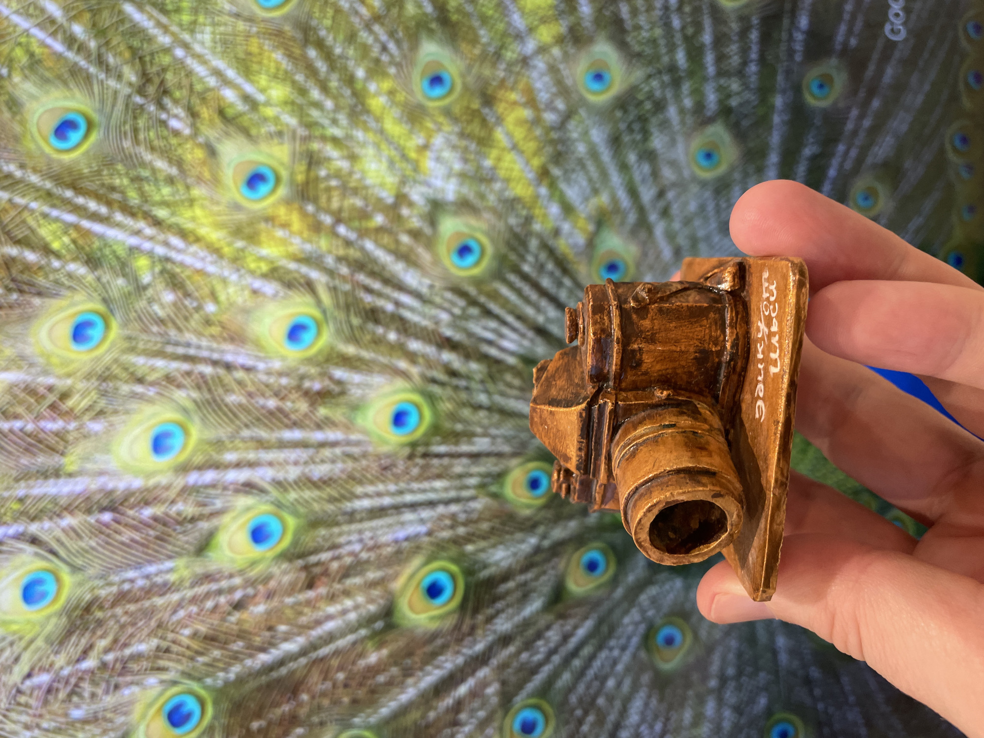 A person's hand holds a carved, bronzed miniature of a camera, positioned against the backdrop of peacock feathers displayed on a screen or wall. The backdrop suggests it may be a TV screen displaying a live feed of peacock feathers. The name "Kazan" is discernible on the camera. The location is Kazan, Russia.