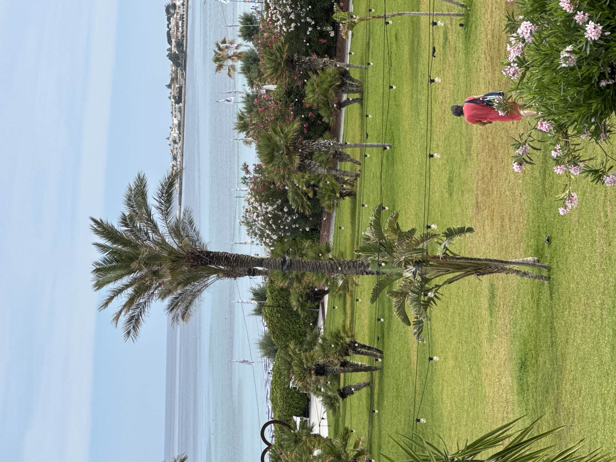 In Isola delle Femmine, Italy, a woman in a red dress walks away from the camera across a manicured green lawn. She is carrying a bag over her right shoulder. The lawn is decorated with a string of lights. In the background, palm trees and flowering bushes are visible, with a body of water and a distant town on the horizon. The sky is a pale blue with wispy clouds.