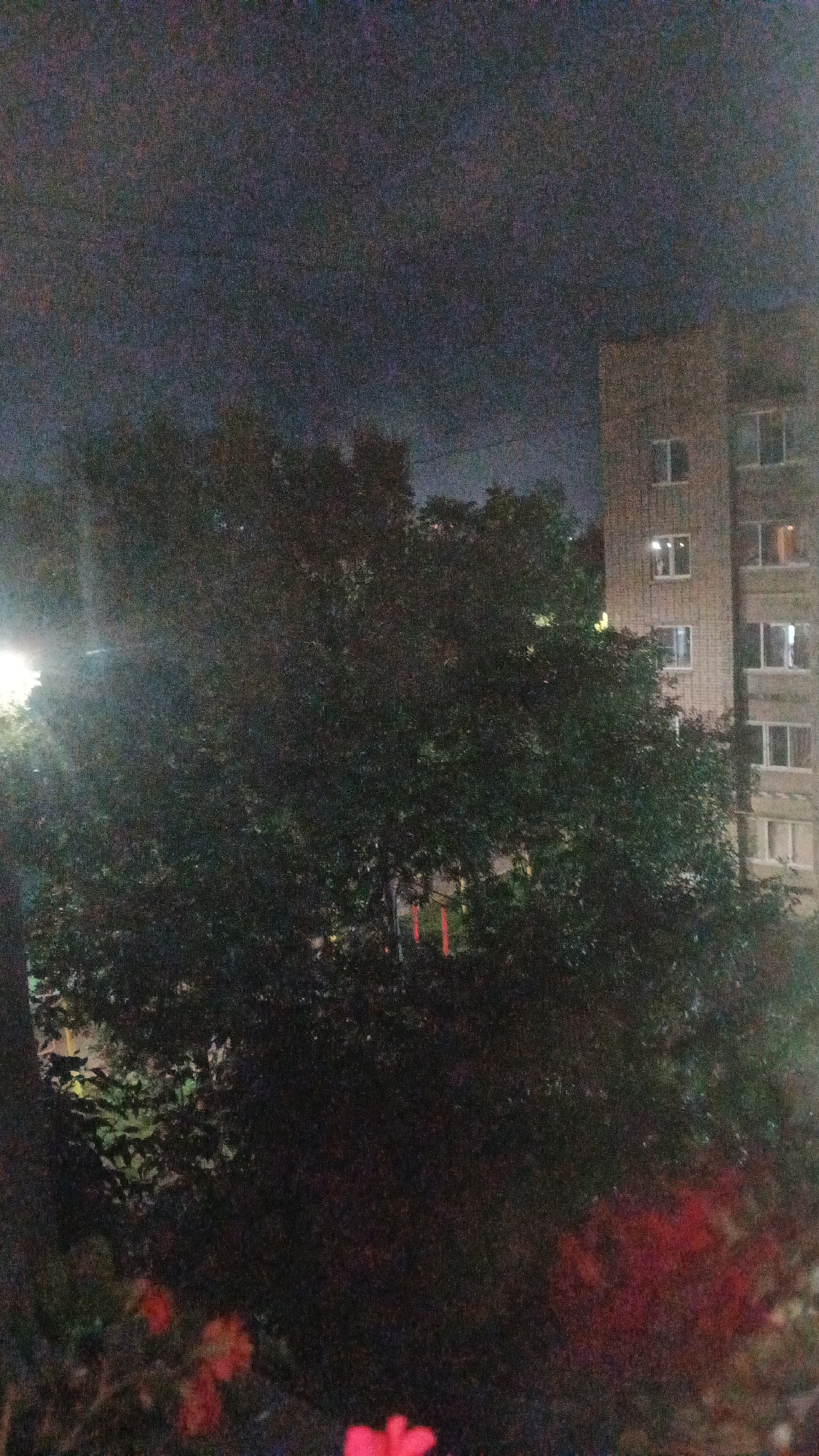 The image depicts a nighttime scene with a building and trees. The building appears to be a multi-story apartment complex with lit windows, suggesting it is residential. The trees are dense and leafy, partially obscuring the building. There is a streetlamp visible to the left, illuminating some of the foliage. The overall impression is of an urban environment at night. Without further context or visible landmarks, pinpointing the exact location within Izhevsk, Russia is not possible from the image alone.