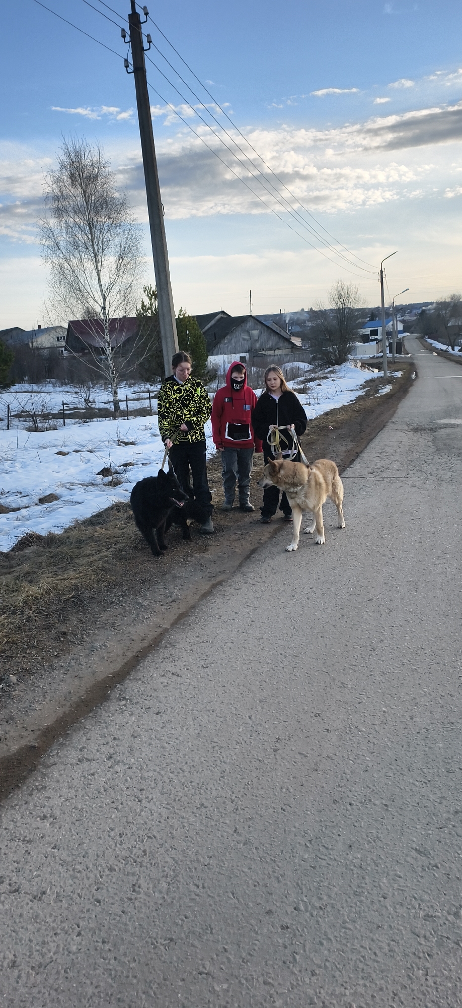 Three children are standing on the side of a paved road, each holding a dog on a leash. The child on the left is wearing a black hoodie with yellow designs and holding a black dog. The child in the middle is wearing a red hoodie with a black face covering. The child on the right is wearing a black hoodie and holding a tan-colored dog. Patches of snow are visible on the grassy area to the left of the road. In the background, there are houses, trees, and a utility pole with wires. The sky is light blue with scattered clouds. This location is in the city of Фоки, Russia.