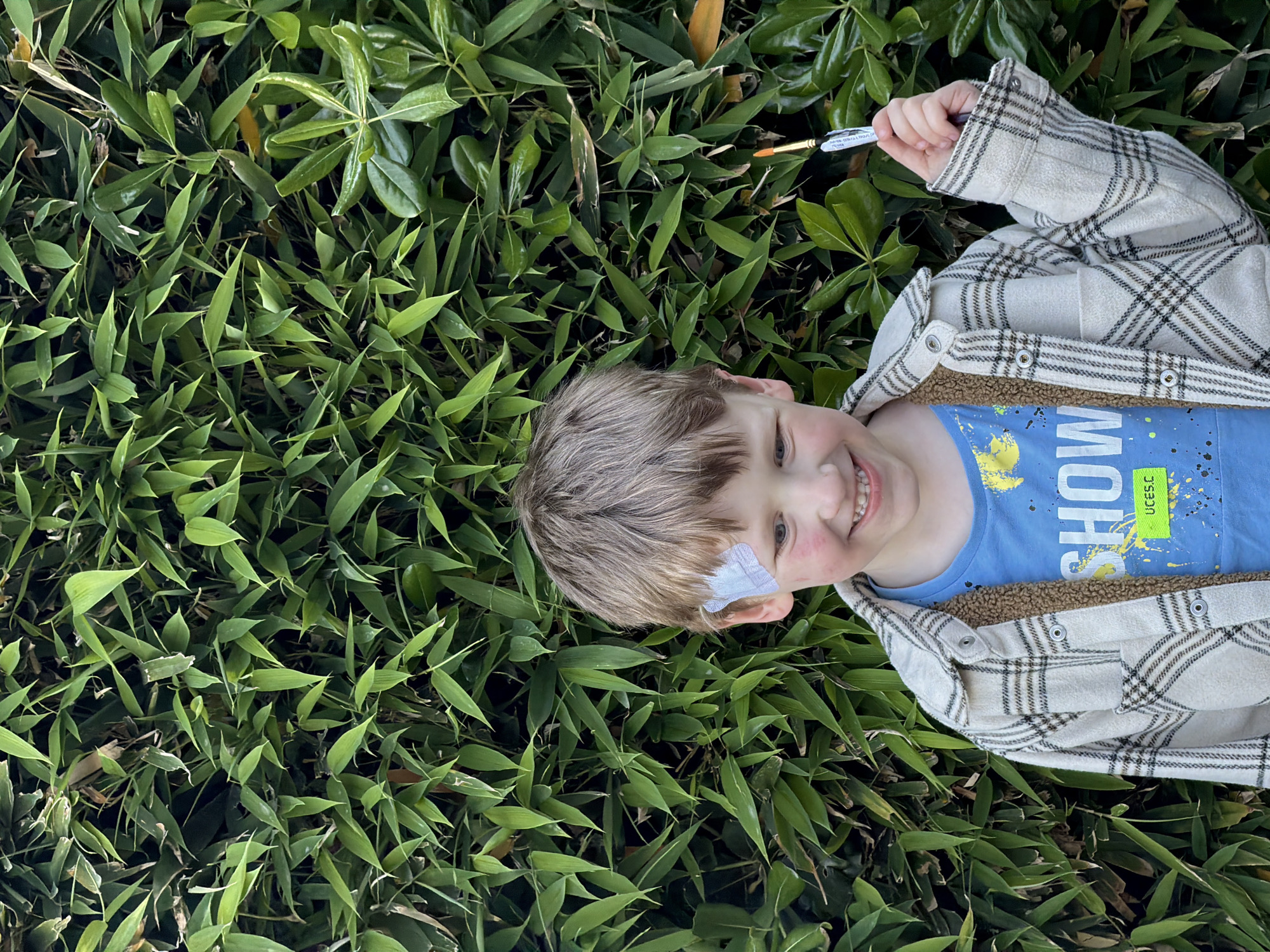 A young boy with light brown hair and a cheerful smile lies on his back amidst a dense bed of vibrant green leaves, likely bamboo or similar foliage, in an outdoor setting. He looks directly at the camera, showing a broad smile.
The boy is dressed in a light-colored, possibly cream or off-white, plaid jacket with dark striped patterns and a brown fuzzy inner lining visible near the collar. Underneath, he wears a blue short-sleeved t-shirt with yellow and black splatters. A light-colored bandage, possibly patterned, is visible on his right temple/cheek area.
He holds a small paintbrush with an orange-colored tip in his right hand, which is raised. Text is partially visible on the paintbrush handle, possibly including "SECRET GARDEN MINI BRUSH". On his blue t-shirt, the word "SHOW" is clearly visible in large white letters, along with a smaller green rectangular label below it that reads "UCES.C".
The image appears to be taken on a bright, clear day, with natural light illuminating the scene. The boy is positioned diagonally across the frame, with the camera looking down on him from above. His relaxed posture and happy expression suggest a moment of play or enjoyment outdoors. The location context is Nerin, Montenegro, though this is not visually evident in the image itself.