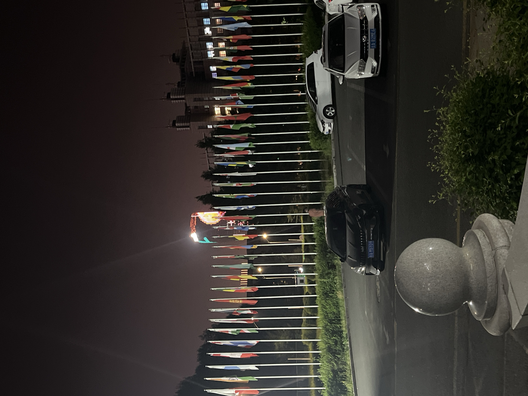 The image shows a night scene along a street in Changchun City, China. A row of flagpoles, each bearing a different national flag, lines the street. The poles are illuminated by streetlights. Parked vehicles, including white and black cars, are visible along the curb. The license plates of the vehicles are visible, bearing the Chinese characters "吉A" followed by alphanumeric codes. Adjacent to the street is dense greenery, and a decorative stone post with a spherical top is in the foreground. Buildings are present in the background with lighted windows, suggesting an urban or suburban setting. The sky is dark, indicating nighttime.
