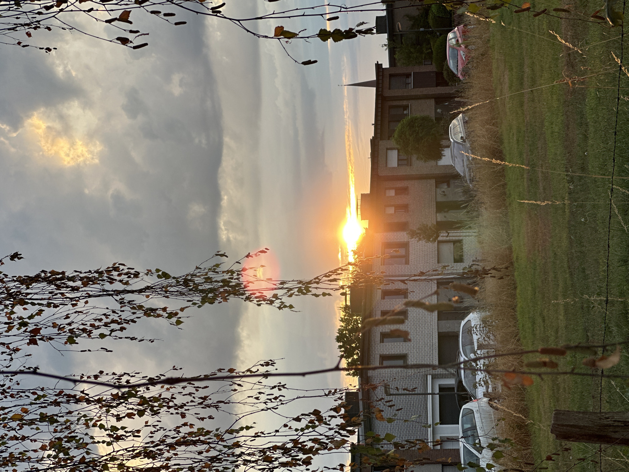 The image depicts a sunset over a residential area in Krefeld, Germany. The sky is filled with a mix of gray clouds and patches of bright orange and yellow as the sun sets. In the foreground, branches of a tree with sparse, autumnal leaves hang down, partially obscuring the view.
Below the sky and tree branches, a row of multi-story buildings can be seen. These buildings appear to be residential, constructed with light-colored brick. Several cars are parked in front of or in the vicinity of the buildings. Among them are a white hatchback on the left, a white station wagon in the middle, and a red compact car on the right. The area in front of the buildings is covered in dry, tall grass and some green lawn.
A church spire is visible in the distance, rising above the rooftops, suggesting the presence of a church within the neighborhood. The overall scene conveys a calm, late-afternoon or early-evening atmosphere in a suburban or urban residential setting. The light suggests the sun is low on the horizon, casting long shadows and creating a warm glow.
