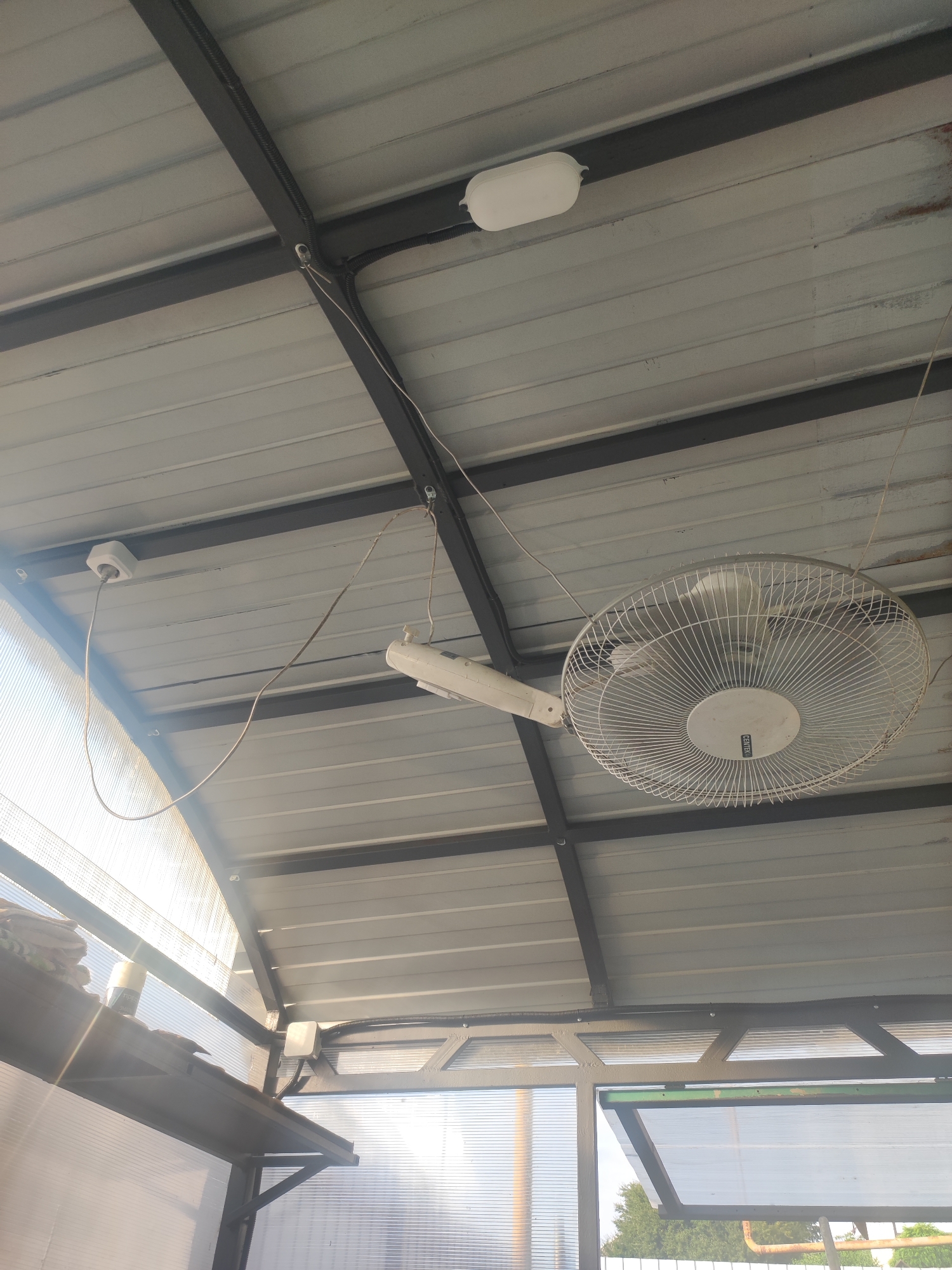 An indoor scene shows a ceiling fan and a light fixture suspended from a corrugated metal roof supported by dark metal beams. A white electrical outlet is mounted on the ceiling, with a white cord plugged into it and running to an unknown device. Another white cord hangs from the ceiling and connects to the fan. A white, elongated light fixture is also mounted on the ceiling. The scene appears to be a covered patio or greenhouse, with translucent walls visible on the left and right sides. The setting is identified as being in the city of Goryachiy Klyuch, Russia.
