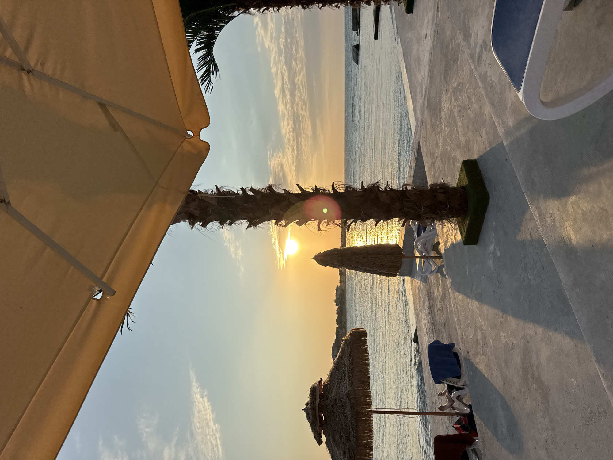 This is a photograph of a seaside resort at sunset. In the foreground, there are two palm trees and a large beige umbrella. The ground is paved with concrete, and there are several lounge chairs scattered around. One lounge chair has a person sitting in it, relaxing. In the middle ground, there is a body of water, likely the sea, with a few buildings visible on the horizon. The sun is setting over the water, casting a warm glow on the scene. The overall atmosphere is peaceful and serene. The image was taken in Sevastopol, Ukraine.