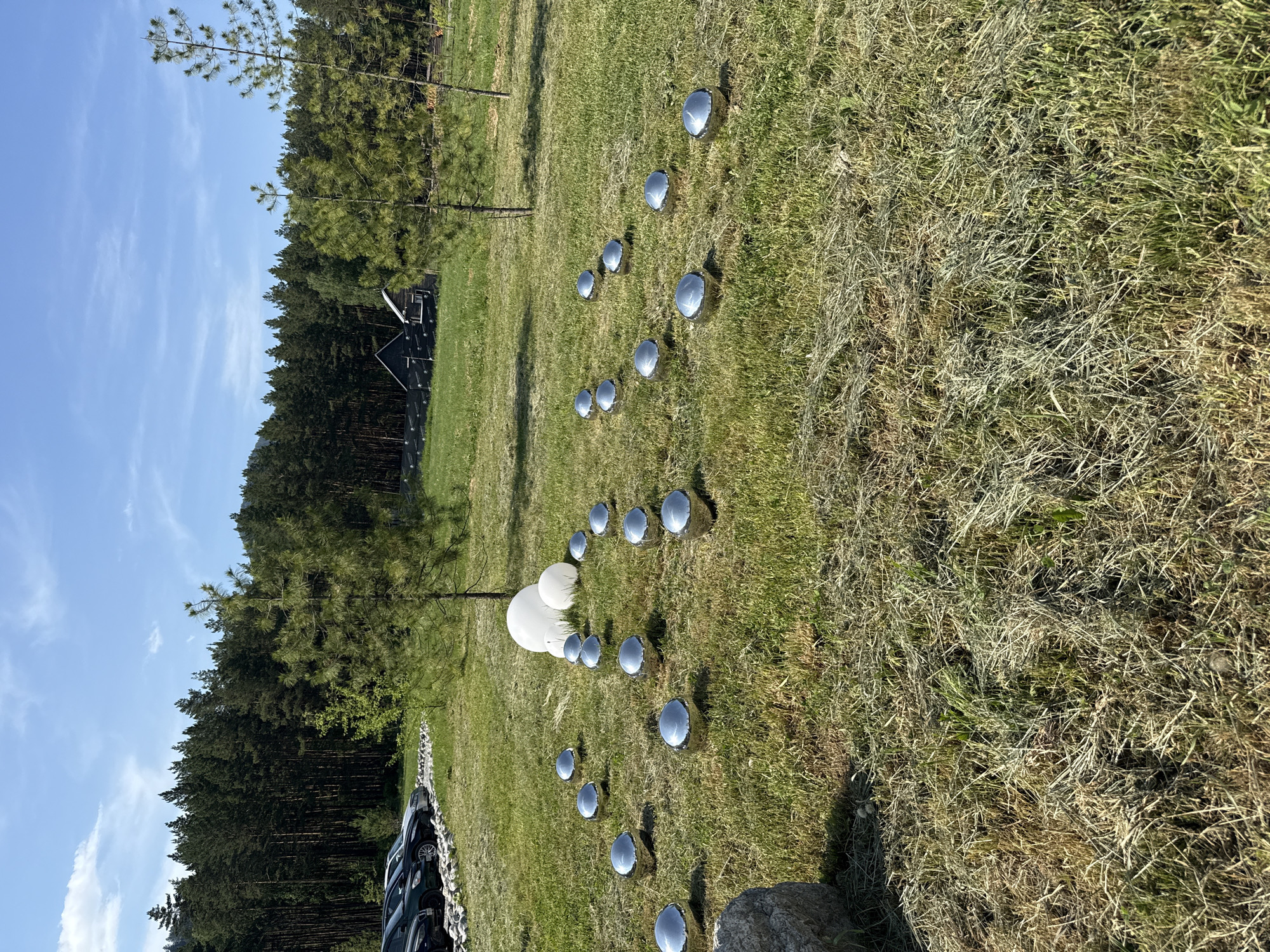 The image depicts an outdoor scene on a sunny day in Ust'-Muny, Russia. In the foreground, a grassy field is partially covered with cut hay. Scattered across the lawn are numerous shiny, metallic spherical objects, arranged in a circular pattern. Two large, opaque white spheres are positioned near the center of this arrangement. In the background, a dense forest of pine trees forms a dark, vertical line. Beyond the trees, a small, dark wooden structure with a peaked roof is visible, and to the left, a row of parked cars suggests the presence of a parking lot. The sky above is blue with a few wispy white clouds.