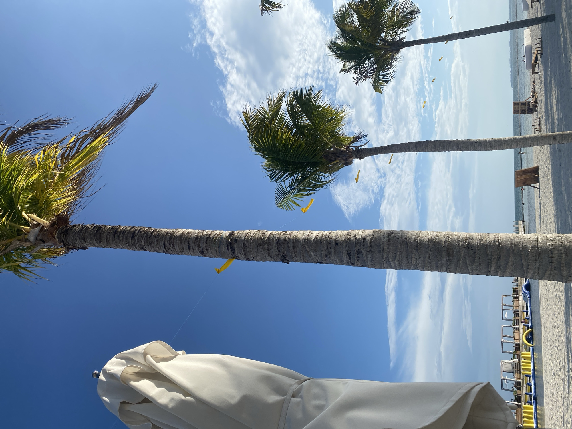 The image shows a low-angle view of a beach in Marina Maroma, Mexico. Three palm trees are visible, one in the lower left corner with an umbrella beneath it, and two more in the upper right quadrant of the image. Yellow ribbons are tied to the palm tree trunks. The sky is blue with wispy white clouds. In the right side of the frame, beach furniture can be seen on the beach, near the water's edge.