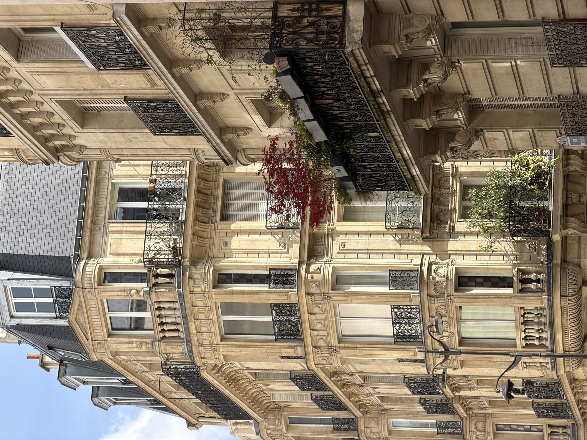 The image shows a close-up, upward-facing view of a Parisian building facade on a sunny day. The architecture features ornate details, including decorative stone carvings, wrought-iron balconies, and window grilles. The building is clad in a light-colored stone, likely limestone, typical of Parisian architecture. Some balconies contain plants, adding a touch of greenery to the scene. A street sign bearing the name "Rue Petrelle" is visible, indicating that the location is on that street in Paris. A blue sky with some clouds is visible in the bottom left corner of the image. A dark grey slate roof with windows is also seen, suggesting the upper floors or attic space of the building.