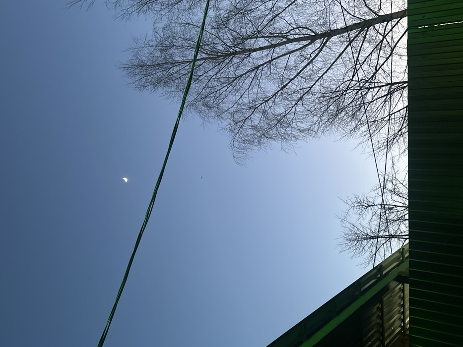 The scene depicts an outdoor environment under a clear, light blue sky in 3-Y Uchastok, Russia. A white crescent moon is visible in the upper right sky quadrant. Below the moon and slightly left, a small, dark, unidentified aircraft is present. Two dark green insulated wires, likely power or communication lines, traverse horizontally across the mid-section of the image. The upper left corner shows the angled eave of a dark green corrugated metal roof. A dark green corrugated metal fence occupies the bottom fifth of the frame. Several bare deciduous trees, characterized by their fine branching, are visible in the right half of the image and partially in the left mid-ground, suggesting a late autumn or winter season. No individuals are visible.