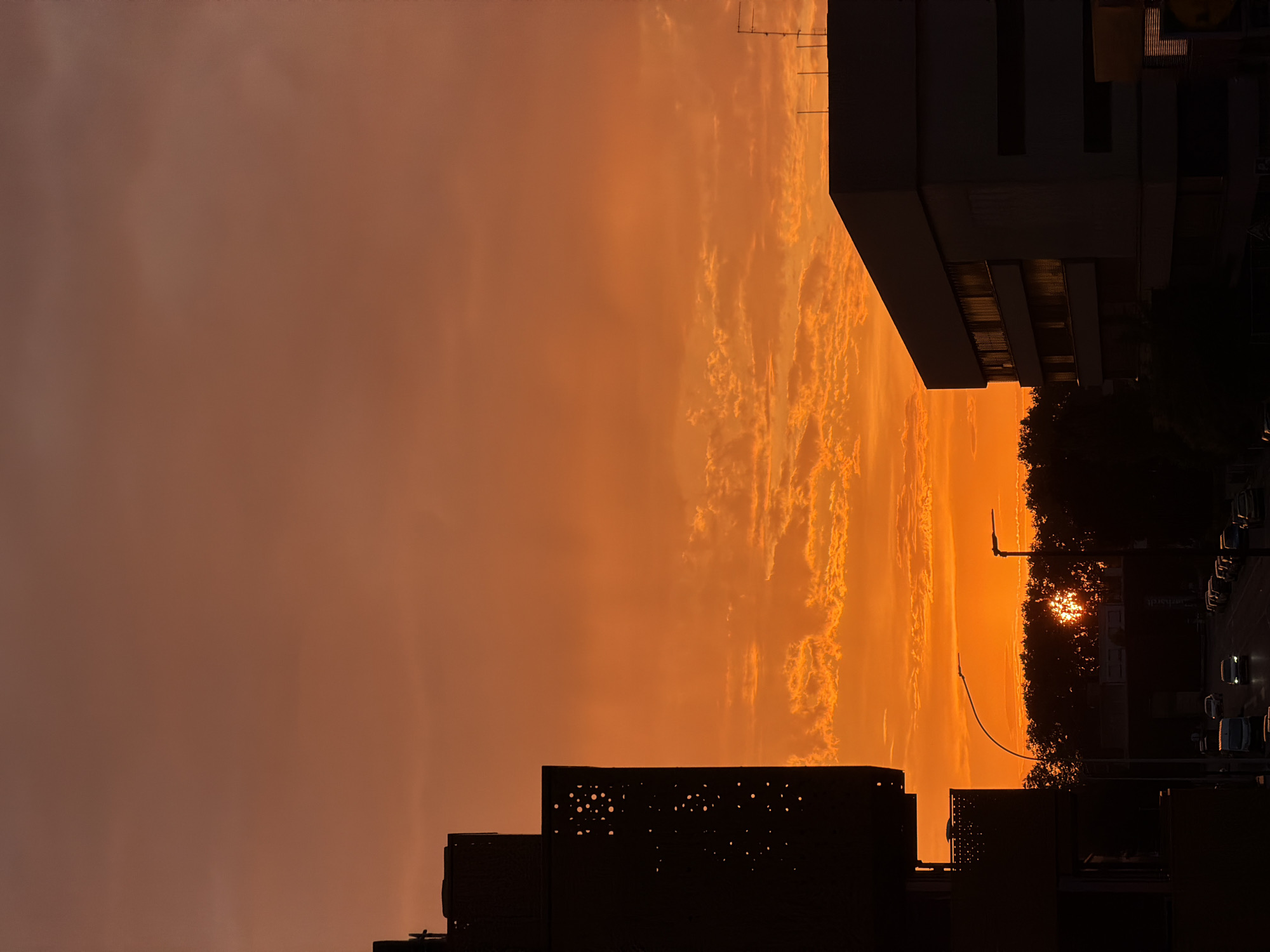 This image captures a sunset in Strasbourg, France, where the sky is a vibrant orange hue with scattered clouds. In the foreground, silhouetted against the dramatic sky, are the dark outlines of buildings. On the left, a portion of a building with a patterned facade is visible. On the right, a larger, more angular building stands prominently.
Below the buildings and the fiery sky, a street scene unfolds. A road runs horizontally across the frame, lined with parked cars on the right side. Several vehicles are in motion on the road. Trees form a dark silhouette behind the street, obscuring much of the ground level. Two streetlights are visible, one with a distinct curved pole, illuminating the scene below. The sun itself is partially visible through the trees, a bright, radiant orb peeking through the foliage, contributing to the intense colors of the sky. The overall impression is a urban landscape bathed in the dramatic light of a setting sun.
