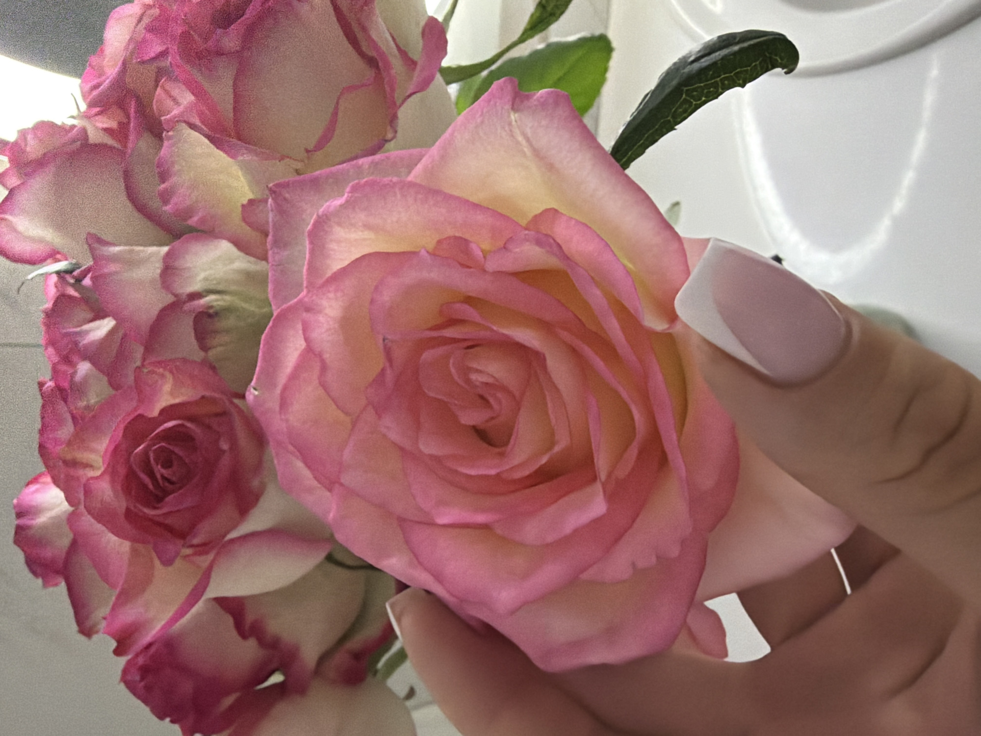 A close-up shot depicts a hand gently holding a pink rose. The rose is in full bloom, revealing layers of petals with a subtle gradient of pink and yellow. A manicured fingernail with a French tip design is visible on the thumb, touching the edge of a petal. Other pink and white roses are visible in the background, along with a green leaf, suggesting a bouquet. The background also contains a bright, reflective surface, likely a wall or other smooth structure. There is no indication of this image being taken in Votkinsk, Russia.