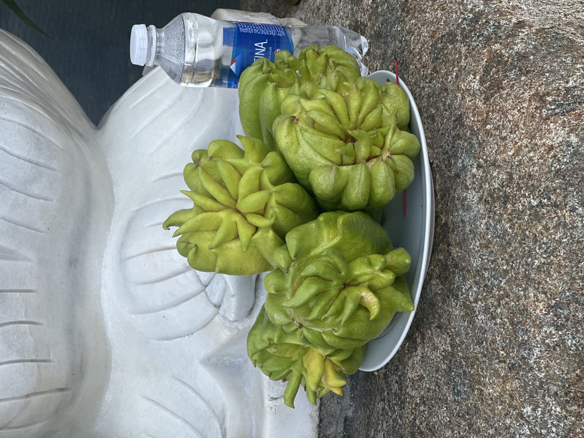 In Nam Nha Trang Ward, Vietnam, on a textured, granite-like surface, a white plate holds several green, unusually shaped fruits that resemble fingers or tentacles. To the right of the plate stands a clear plastic bottle of water with a blue label and white cap, condensation visible on its surface. Behind the fruit and water bottle, a large, white, sculpted surface, possibly marble, with carved linear details is visible, suggesting a religious or decorative context. A thin, red object, possibly a toothpick or incense stick, protrudes from the plate of fruit. The lighting suggests an outdoor setting during daylight.