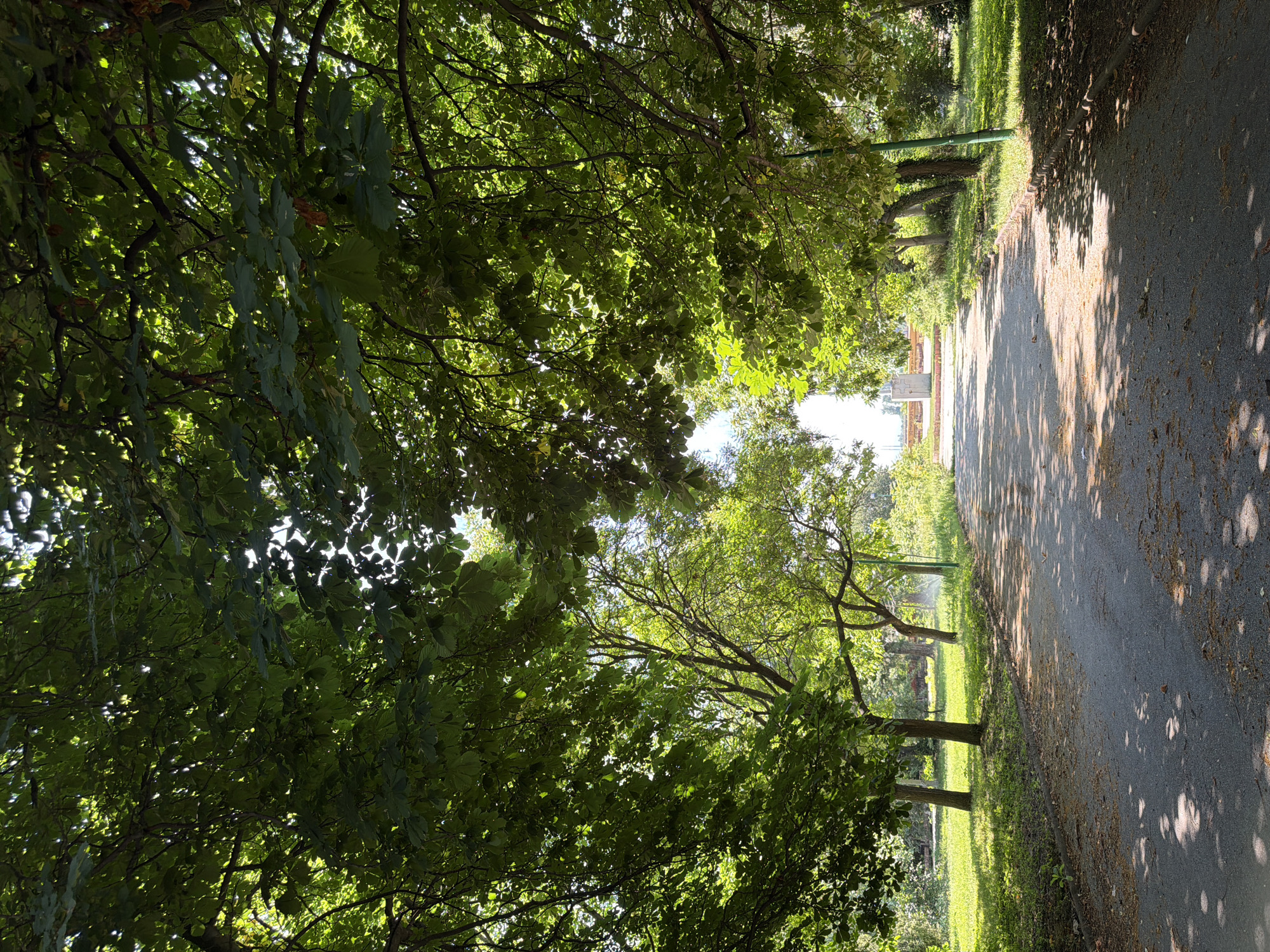The image shows a pathway in a park in Pazardzhik, Bulgaria. The pathway is paved with asphalt and lined with grass on either side. Tall trees with lush green foliage form a canopy over the pathway, casting dappled shadows on the ground. In the distance, at the end of the pathway, a light-colored monument or sculpture is visible, surrounded by greenery. The sun is shining brightly, with sunlight filtering through the leaves of the trees. The overall scene depicts a peaceful and idyllic park setting.