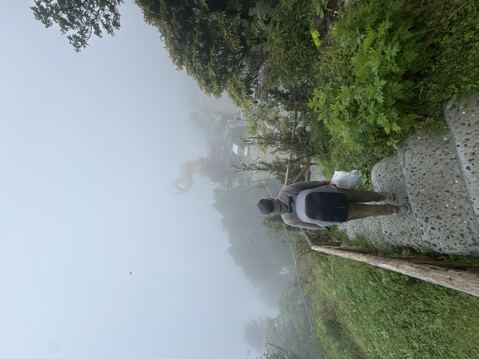 An individual wearing a gray shirt, dark pants, and a dark cap stands on a stone staircase surrounded by lush greenery in Binh Lu, Vietnam. The area is enveloped in dense fog, partially obscuring the view of a large golden statue in the background. A simple wooden railing runs along the side of the staircase, separating it from the vegetation. The scene is dimly lit due to the heavy fog.