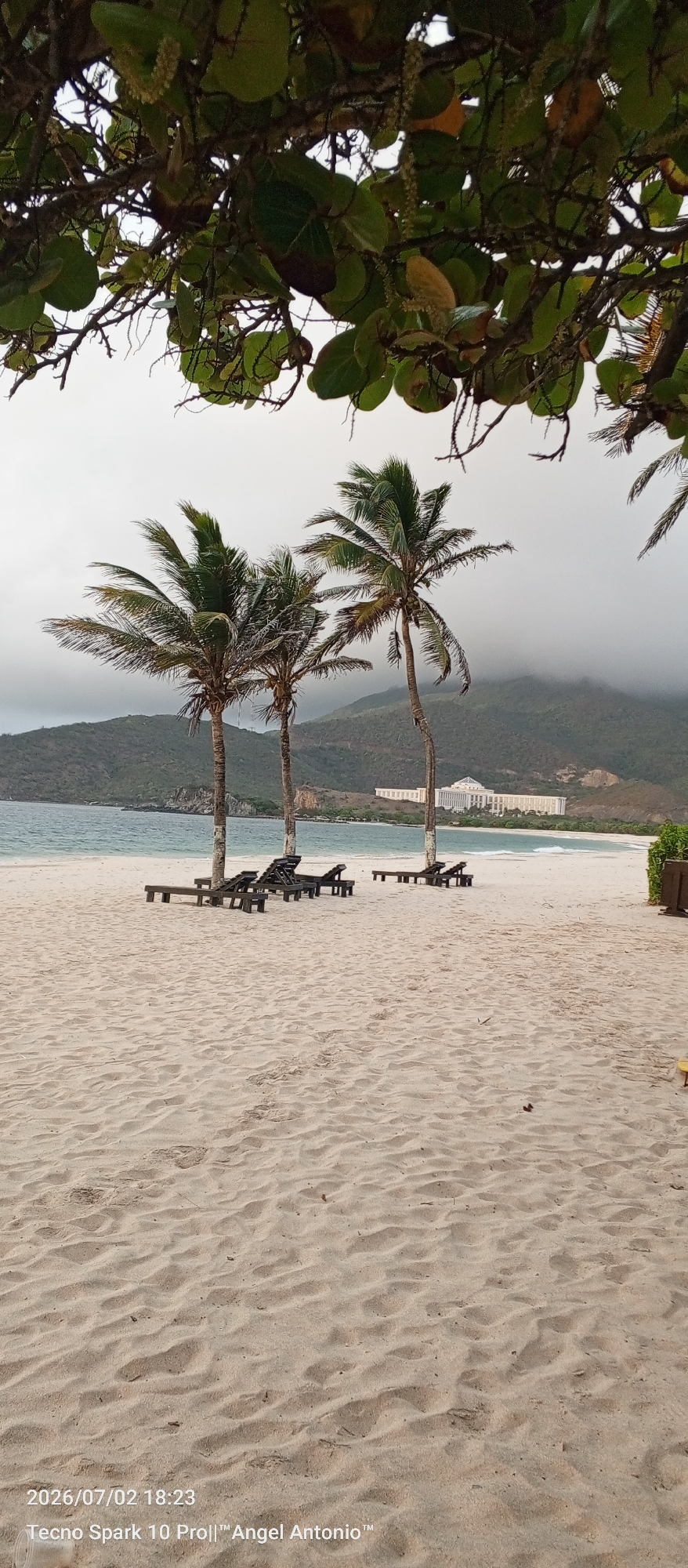 A tropical beach scene is captured in Pedro González, Venezuela, with three palm trees silhouetted against a cloudy sky. In the foreground, soft, light-colored sand stretches across the beach, with a few sets of empty lounge chairs. The ocean, a tranquil blue, meets the shore in the middle ground, and a distant mountain range, shrouded in mist, forms the backdrop. A large, light-colored building, possibly a resort, is visible nestled at the base of the mountains. The image is framed by the branches and leaves of an overhanging tree, adding a natural canopy to the scene. The date and time stamp "2026/07/02 18:23" and "Tecno Spark 10 Pro||™ Angel Antonio™" are present in the bottom left corner.