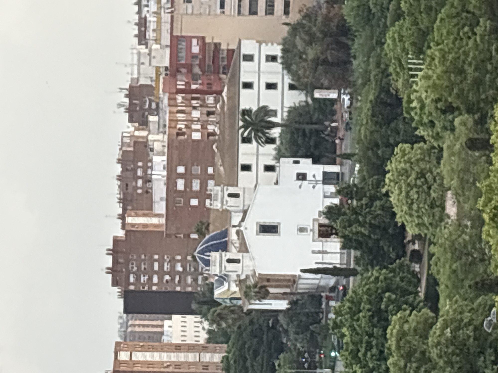 The image shows an aerial view of a city with buildings and trees. In the foreground, there are dense green trees. Behind the trees, a white church with a blue dome is visible. The church has two bell towers and a rectangular window above the entrance. To the right of the church, a white building with several square windows and a palm tree in front of it is present. In the background, several multi-story brick buildings of various colors, including red and brown, are visible, indicating an urban setting. The sky is overcast and grey. The scene appears to be in the city of València, Spain.