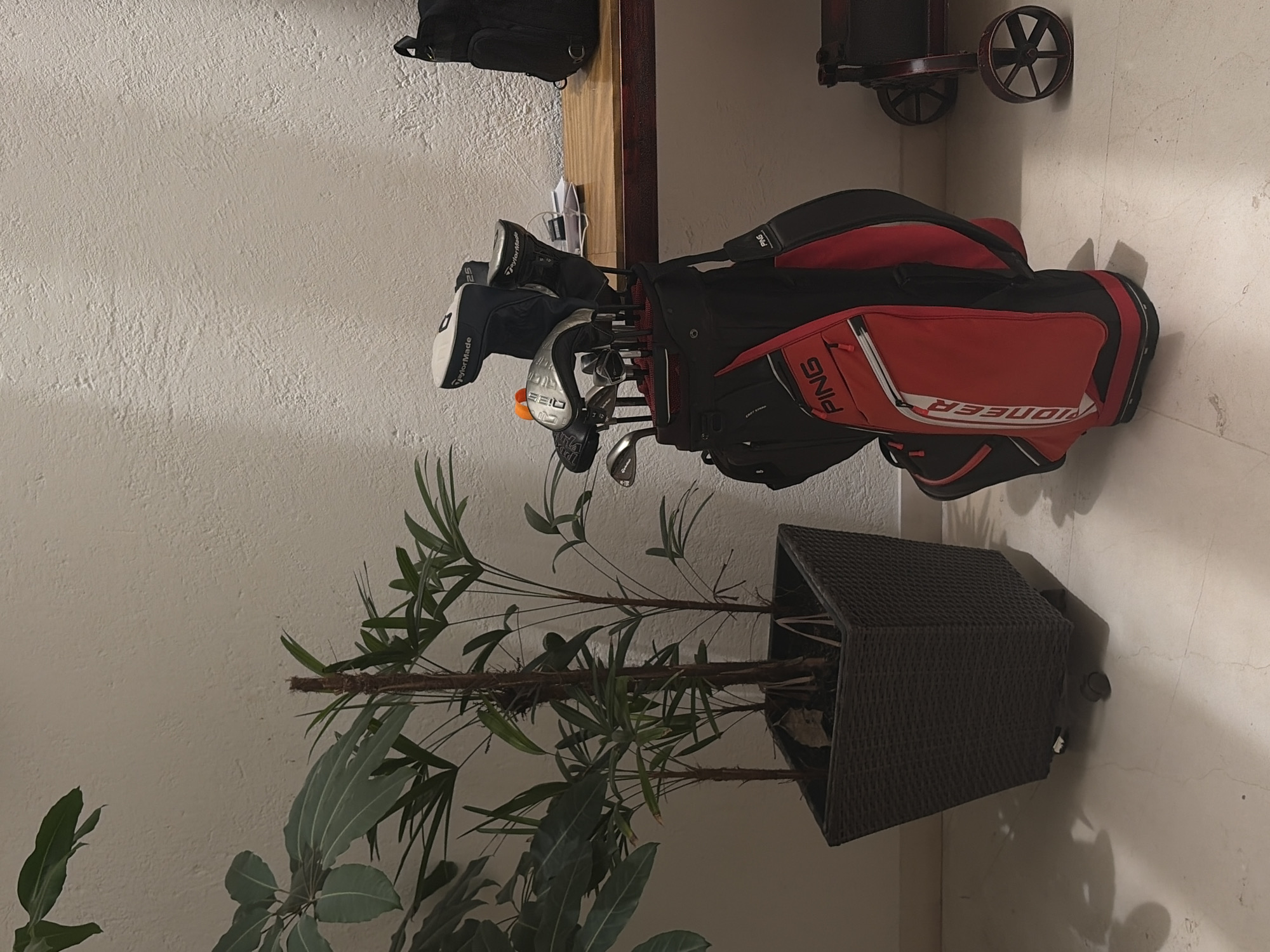 This indoor image displays golf equipment and a plant, arranged against light-colored, textured walls and floor. The perspective is tilted, with the wall appearing on the left and the floor on the right.
In the lower half of the frame, a tall houseplant resides in a dark brown, possibly wicker or rattan, planter. The plant has multiple slender stems and a mix of leaf types, some long and narrow, others broader and lighter green.
Above the plant, dominating the central area, is a red and black golf bag, identified by the visible text "PING" and "PIONEER". It is filled with several golf clubs. A driver with a white and black headcover, featuring "TaylorMade" and "2.5" text, protrudes from the bag. Another club head shows the marking "52D". The golf bag appears to be leaning against or hanging from a light-colored wooden shelf or rack that runs horizontally across the middle of the frame.
In the upper left corner, a black utility bag or backpack hangs from the same wooden structure. In the upper right corner, a decorative, dark-colored object resembling an old-fashioned trolley or cart with large wheels is visible, adding a rustic touch to the scene.
The lighting suggests an indoor setting, possibly with artificial light. No human activity is depicted; the items appear to be stored or displayed. The overall impression is one of organized storage for golf enthusiasts. There are no direct visual cues to confirm the location context of San Bernardino Tlaxcalancingo, Mexico within the image itself.