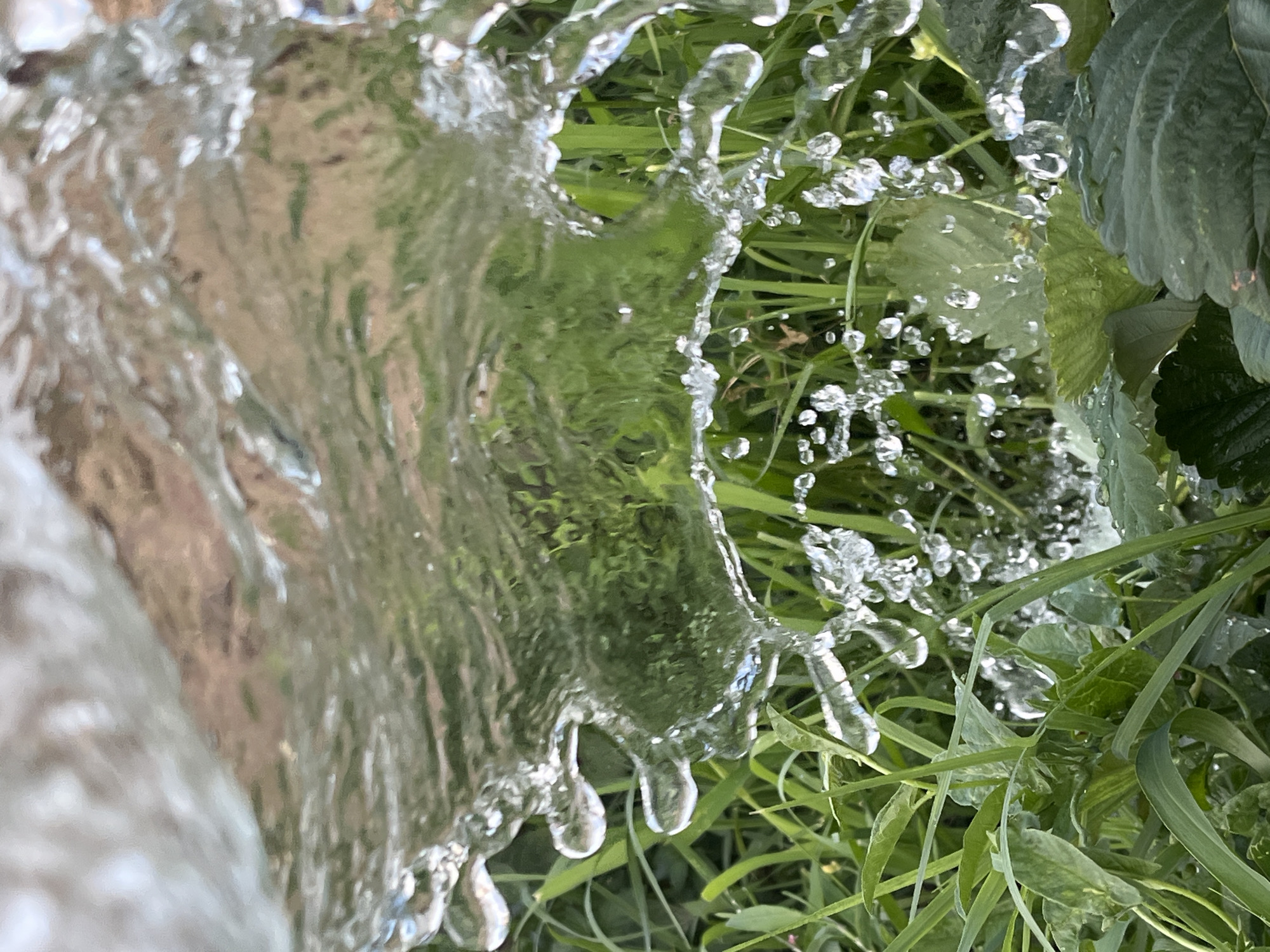 The image shows a close-up of water splashing onto green vegetation, likely grass and leaves, with some soil visible in the background. The water is in motion, with droplets and splashes creating dynamic shapes. The lighting suggests it is daytime, with sunlight reflecting off the water. The location is identified as Krasnyye Barrikady, Russia, but no specific urban or environmental features are discernible beyond the natural elements of water and plants. There are no people or discernible man-made objects in the frame.