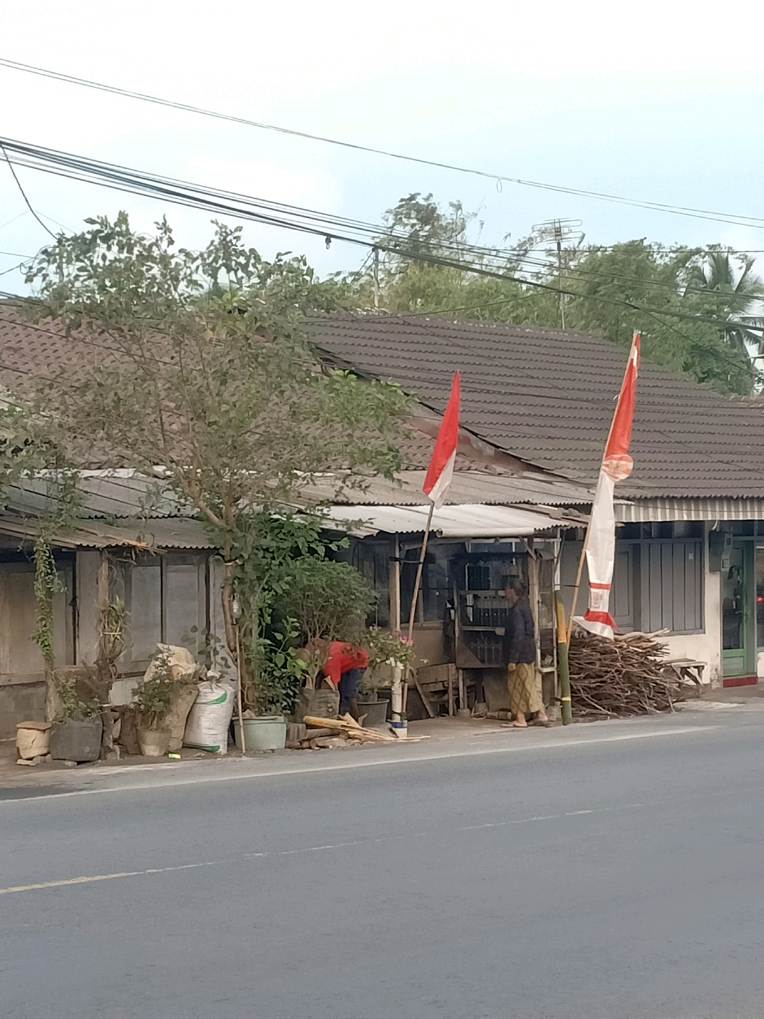 A street-level, medium shot captures a roadside establishment with two Indonesian flags prominently displayed. The flags, red and white, are affixed to poles in front of the building. To the left, a person wearing a red shirt and dark pants is engaged in an activity that appears to be gardening or tending to plants, surrounded by various potted plants and sacks. To the right, another individual, dressed in a traditional batik sarong, stands near a pile of firewood. The building itself appears to be a single-story structure with a dark, tiled roof and an open-fronted section suggesting a shop or stall. A paved road runs along the foreground, with overhead power lines crisscrossing the sky. The environment suggests a moderately built-up area, possibly a village or a less densely populated part of a city.