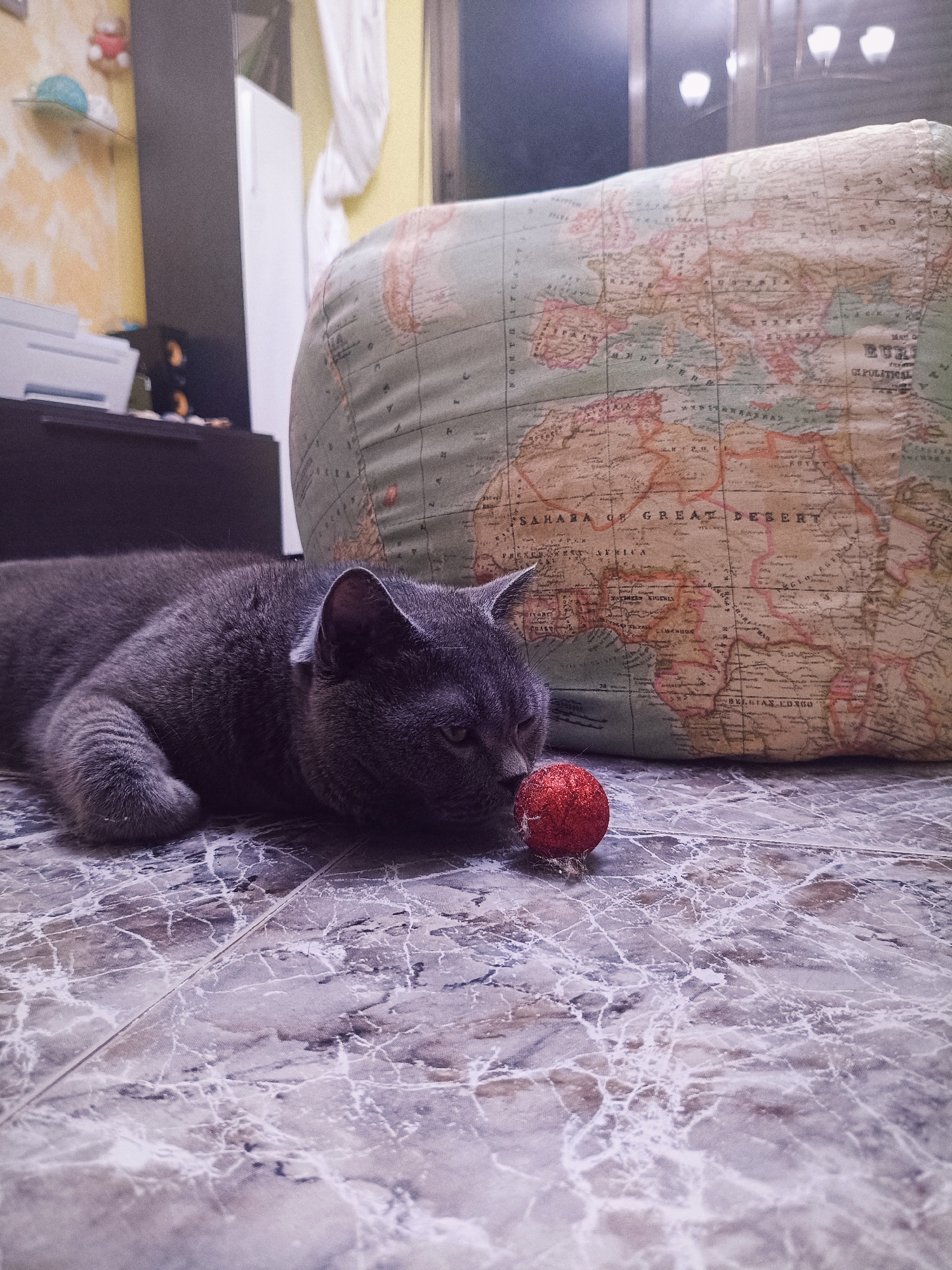 A gray cat lies on a marble-patterned floor, its head resting near a small, red, glittery ball. Behind the cat is a large, plush globe with a map of the world printed on it. The scene appears to be indoors, with a dark cabinet and shelves visible in the background. The lighting is dim, suggesting it may be evening or nighttime. The image does not contain any information that would indicate its location in Valencia, Spain.