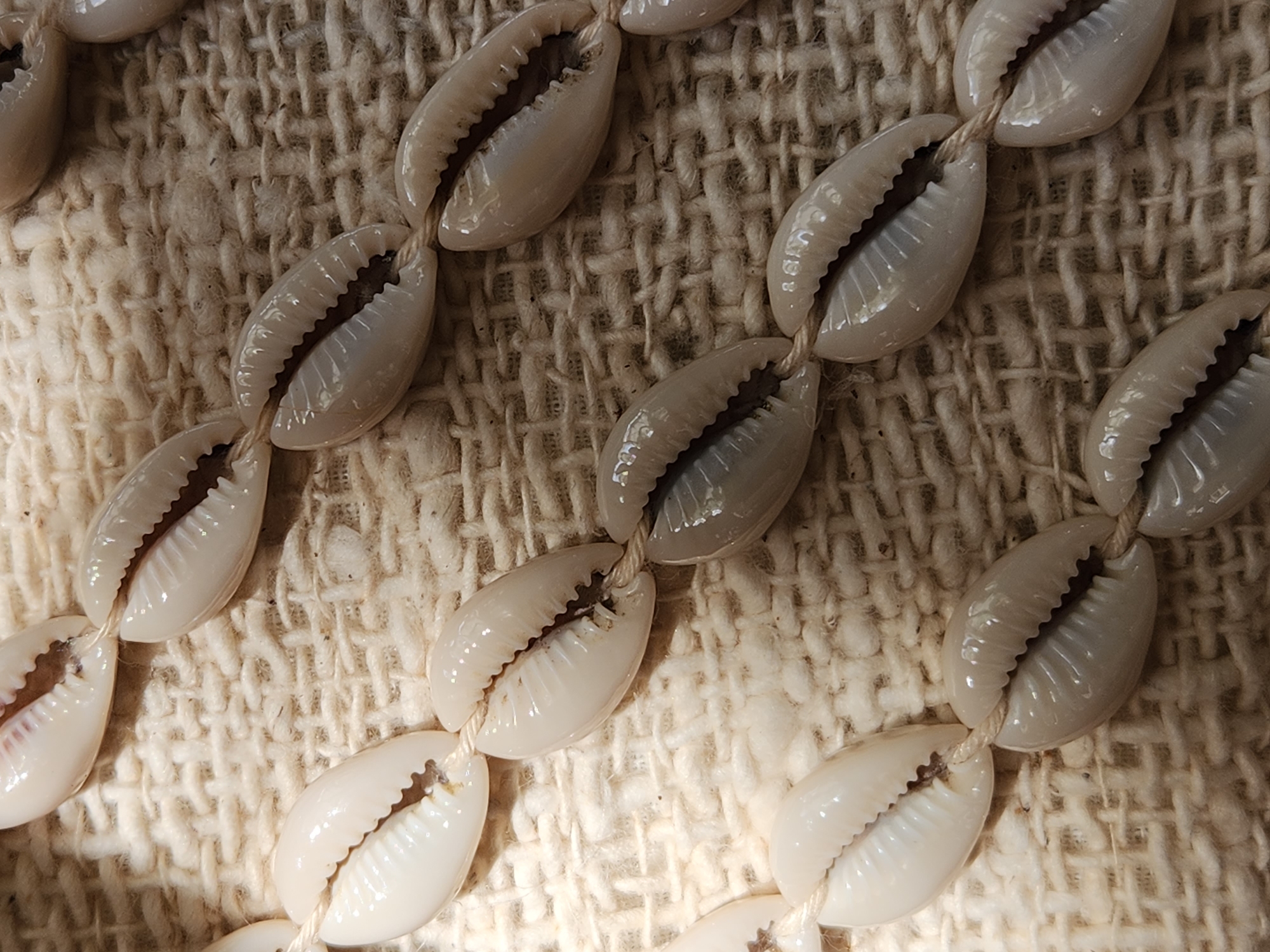 A close-up, top-down shot shows a strand of cowrie shells laid out on a textured, off-white woven surface. The shells are off-white to light tan in color, with their characteristic openings facing upwards, revealing dark, serrated interiors. The shells are strung together with a light-colored, thin cord, forming a diagonal line across the frame from the upper left to the lower right. The woven surface appears to be a natural fiber material, possibly burlap or linen, with a visible grid pattern. The lighting creates subtle shadows and highlights, emphasizing the glossy texture of the shells and the rough texture of the fabric. There are no people or any other objects visible in the image. The scene is static and focuses solely on the arrangement of the shells and the texture of the background. This image does not depict any identifiable location in Maitland, United States of America.