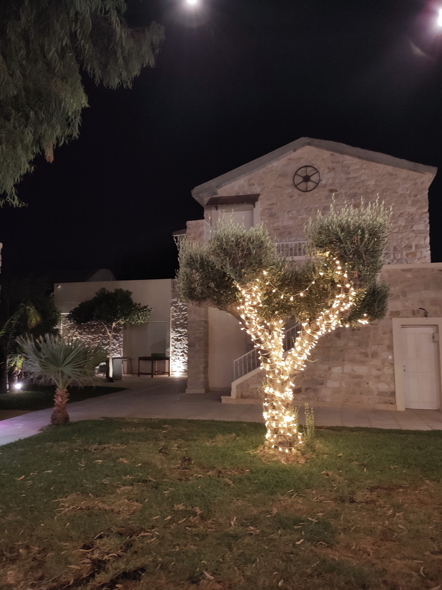 An outdoor scene at night shows a stone building with a large tree decorated with string lights in the foreground. The building appears to be a house or villa, with a light-colored stone facade and a roofline visible against the dark sky. A decorative circular element is mounted on the upper part of the building. To the left of the building, there is a smaller tree with sparse foliage, and a palm-like plant. The ground in front of the building is covered with grass and scattered leaves. The tree in the foreground, an olive tree, is heavily wrapped in warm-toned string lights, illuminating its branches and trunk. There are no people visible in the image. The overall impression is one of a festive or welcoming atmosphere, likely in a residential or hospitality setting. The image was taken in the city of Cebalat, Tunisia.