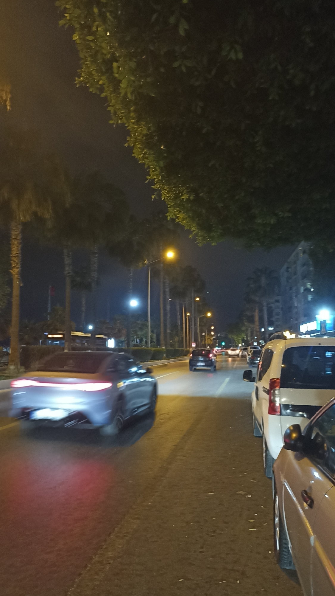 The image captures a vibrant night street scene in Yenişehir, Turkey, viewed from a slightly elevated perspective. The main subjects are numerous vehicles and abundant street-side vegetation.
In the immediate foreground on the left, a dark-colored sedan, likely grey or blue, is in motion, indicated by significant motion blur, especially evident in its bright red taillights and reflective rear bumper. Its movement suggests it is passing the viewer or driving away quickly. On the right side of the road, two cars are visible; the closest is a partial view of a light-colored sedan or SUV, and behind it, a white commercial van (possibly a Fiat Doblo or similar model) is either parked or moving slowly.
The road itself is wet or highly reflective, mirroring the artificial lights from the street and vehicles. A row of tall palm trees lines the left side of the street, extending into the midground. The right side and top of the frame are dominated by dense, dark green foliage from an overhanging tree.
Further down the road, more vehicles are visible, some with illuminated headlights, indicating ongoing traffic. The scene is brightly lit by numerous streetlights, casting both warm yellow and cooler white light onto the road and surroundings. In the background, beyond the palm trees and streetlights, multi-story urban buildings can be seen under a dark night sky. The overall atmosphere is that of a bustling urban street at night in a warm climate, consistent with the location of Yenişehir, Turkey. No discernible text is visible on any signs, vehicles, or buildings.