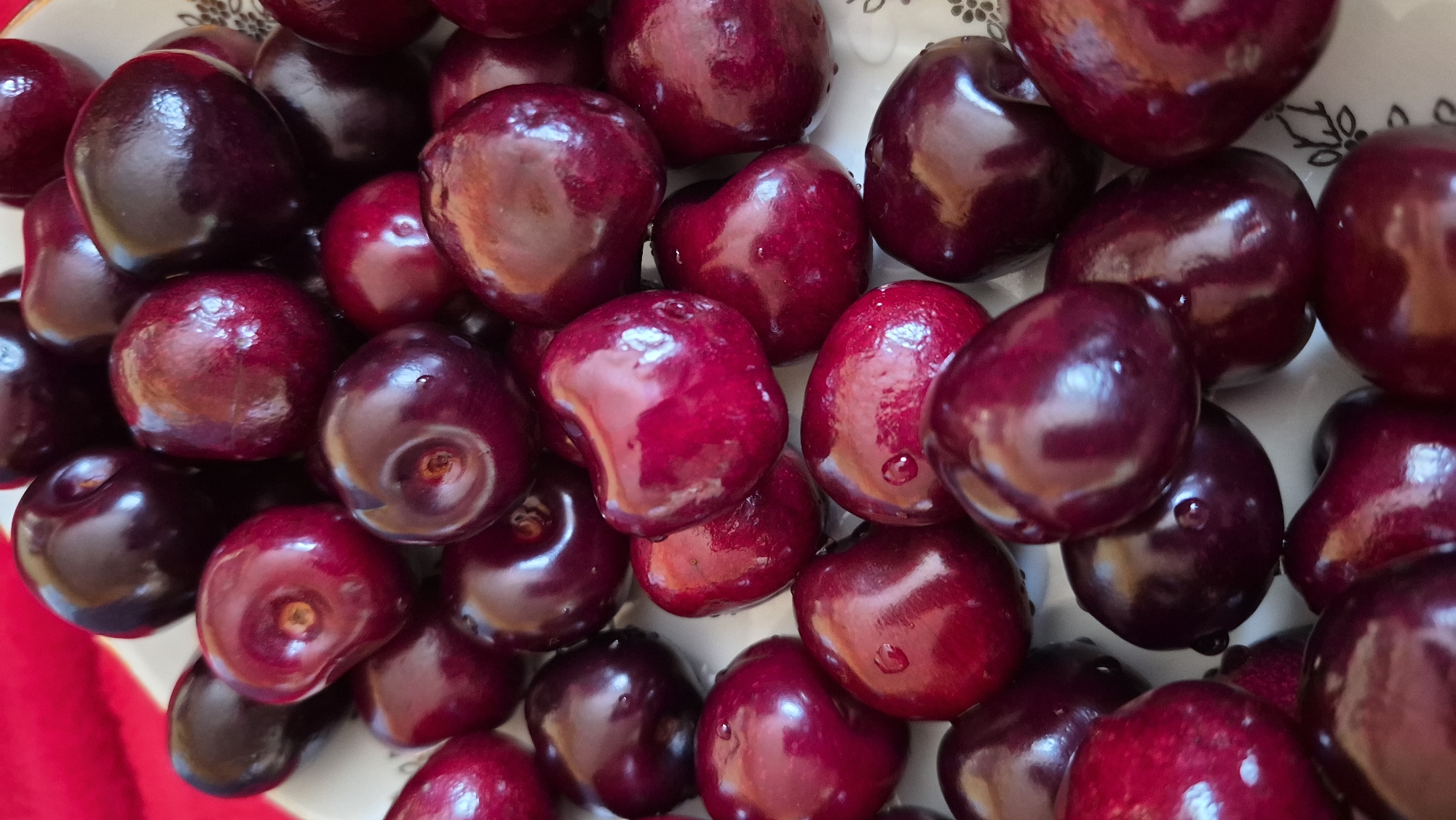 The image is a close-up, overhead shot of a pile of fresh, dark red cherries on a white plate with a subtle floral pattern. The cherries are plump and glossy, with some appearing to have water droplets on their surface, indicating they are freshly washed. The background is a blurred red surface, possibly a tablecloth. The lighting highlights the sheen of the cherries. There are no people or animals present. The scene depicts a simple, fresh food item. The location in Krauja, Latvia, is irrelevant to the visual content of the image.