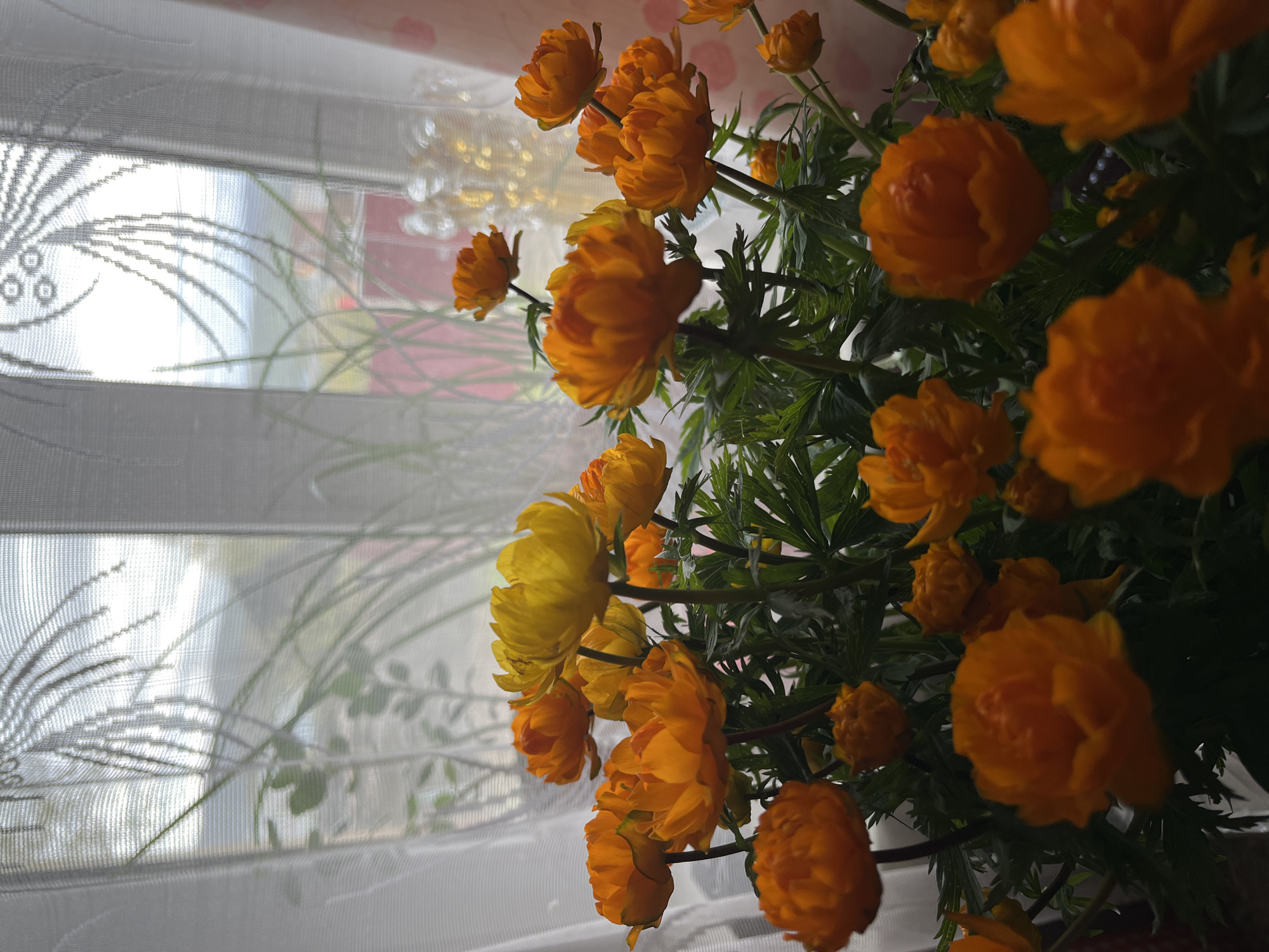 The image shows a close-up of a bouquet of orange and yellow flowers, likely Trollius, placed in front of a window. The window is covered by sheer white curtains with a decorative pattern. Through the window, a blurry landscape with greenery and a distant building or structure is visible. The overall lighting suggests it is daytime. There are no people, actions, or interactions depicted in the image. The location is specified as Petropavlovsk-Kamchatsky, Russia.