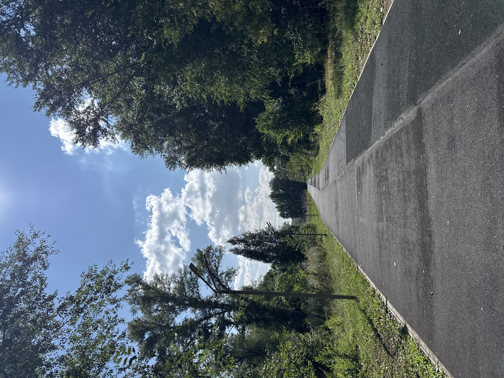 The image shows a paved path in a park, likely located in Oskemen, Kazakhstan. The path is surrounded by lush green trees and vegetation on both sides. The sky is a vibrant blue with scattered white clouds, and the sun is shining brightly, casting shadows on the path. Several lampposts are visible along the sides of the path, suggesting it is used for recreation and possibly as a walkway at night. The path appears to be well-maintained and is empty, with no people or animals present. The overall scene evokes a sense of tranquility and natural beauty within an urban environment.