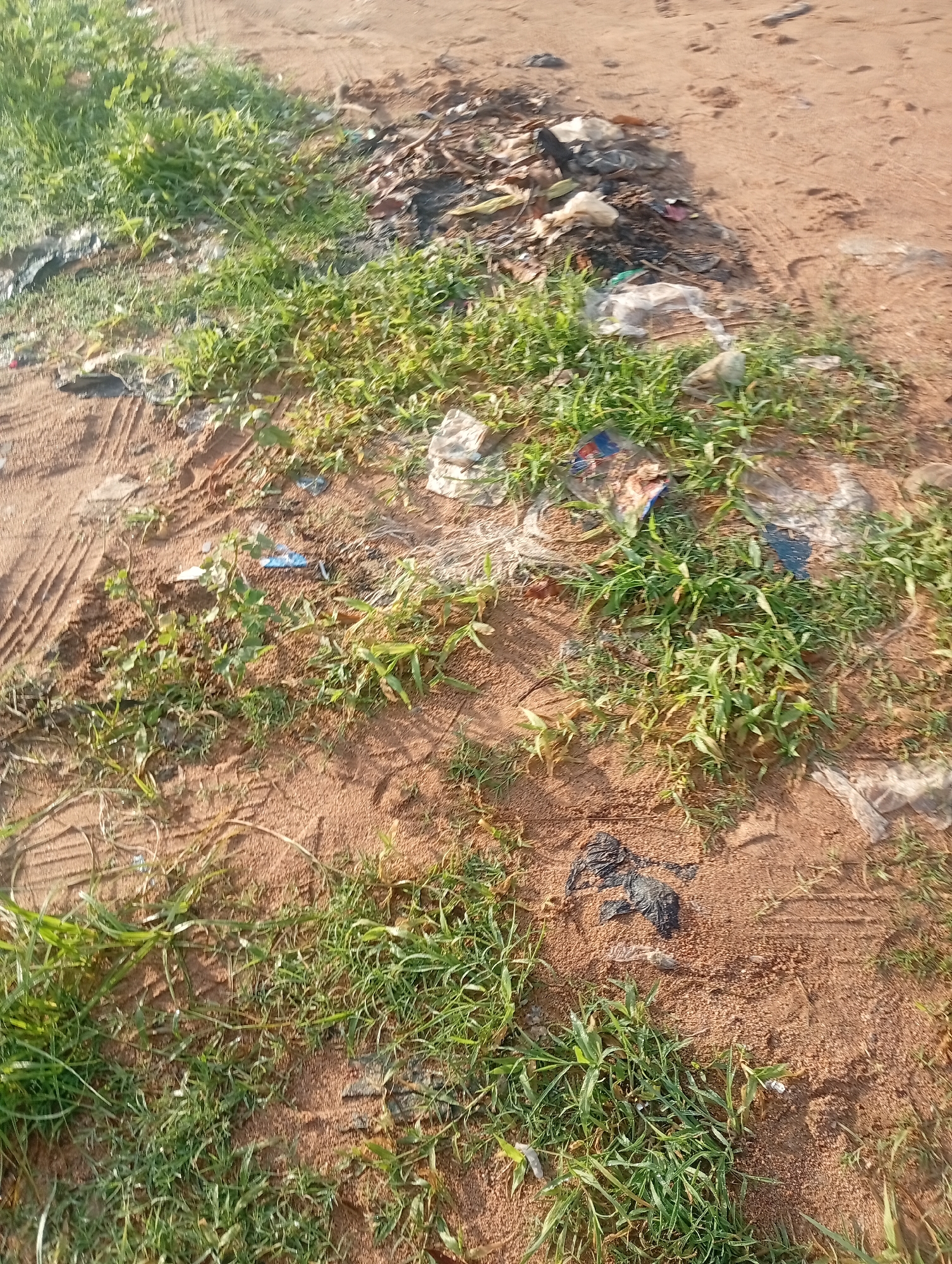 An elevated medium shot shows a patch of ground in an urban setting, possibly on the outskirts of a city. The ground is composed of reddish-brown soil and is partially covered by sparse green grass and a scattering of litter. The litter consists of plastic bags, wrappers, and other debris, some of which appears to be decomposing or waterlogged. The scene is lit by natural sunlight, creating shadows and highlighting the textures of the soil and grass. The background is out of focus, but appears to be more of the same terrain, suggesting a neglected or undeveloped area.