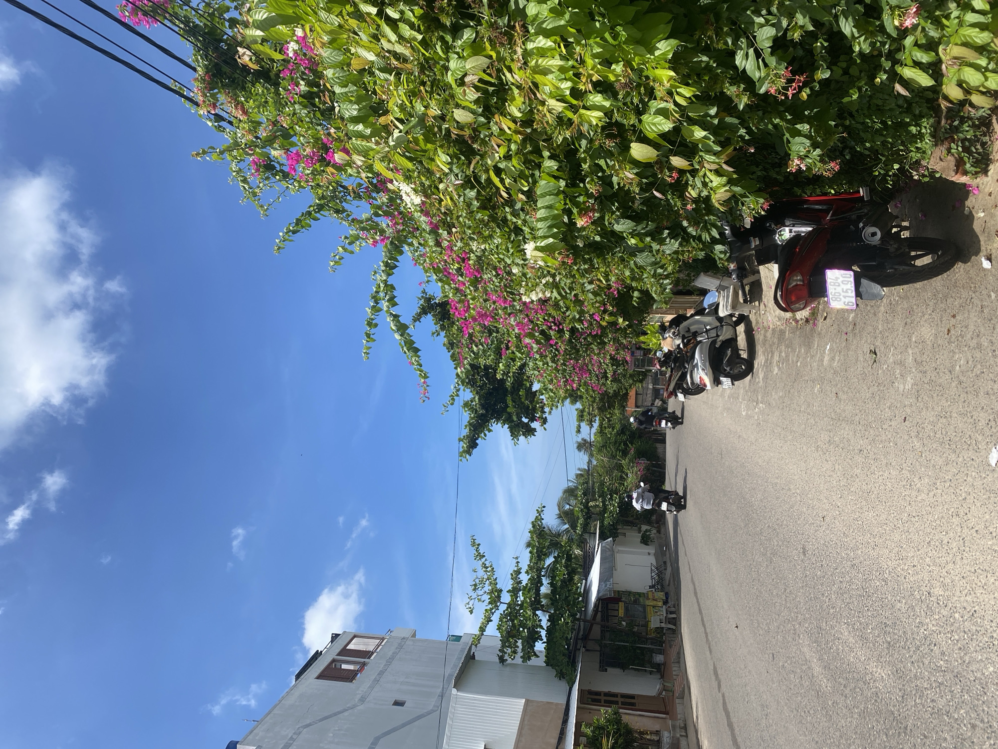 This image depicts a street scene in Mũi Né, Vietnam, under a bright blue sky with scattered white clouds. On the left side of the asphalt road, a multi-story building with white siding and dark-framed windows is visible. Adjacent to the building are some small stalls or shops with awnings. Further down the road, several motorbikes are parked along the right side, some with riders. A vibrant green bush with numerous pink and white flowers, likely bougainvillea, lines the right edge of the image, obscuring a portion of the buildings and the street. Power lines are visible in the upper right corner, strung across the sky. The overall impression is a sunny day in a residential or commercial area of the coastal town.