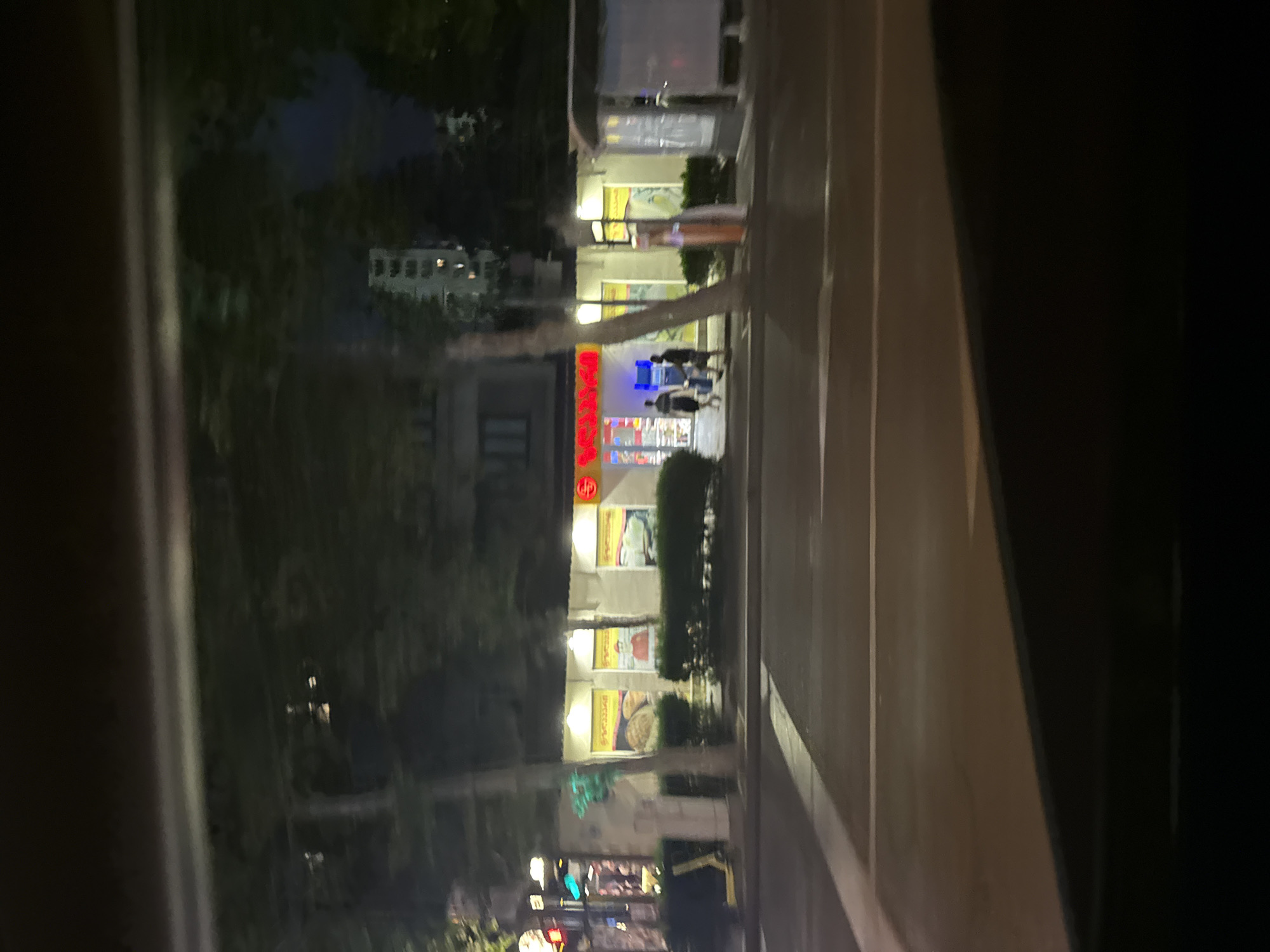 The image, oriented vertically, depicts a street scene at night in Tbilisi, Georgia. In the foreground, a dark, blurry foreground element obscures the left side of the frame. Beyond this, trees with lush green foliage are visible, hinting at an urban park or street lined with trees.
The central focus is a storefront with illuminated signage. A prominent red sign, likely indicating a business name or type, glows brightly. The storefront itself appears to be a shop or restaurant, with people visible outside. A group of three individuals, silhouetted against the light, are standing near the entrance. Other illuminated displays and windows suggest a commercial area.
Further down the street, streetlights and building lights are visible, illuminating the road and sidewalks. Traffic lights, one showing a green signal, are also present, indicating an intersection or busy road. The overall atmosphere is that of a lively urban environment at night, with the glow of artificial lights contrasting with the darkness. The image captures a slice of everyday life in Tbilisi, with people moving about and businesses open. The presence of trees suggests a relatively mild climate, possibly during spring or summer.