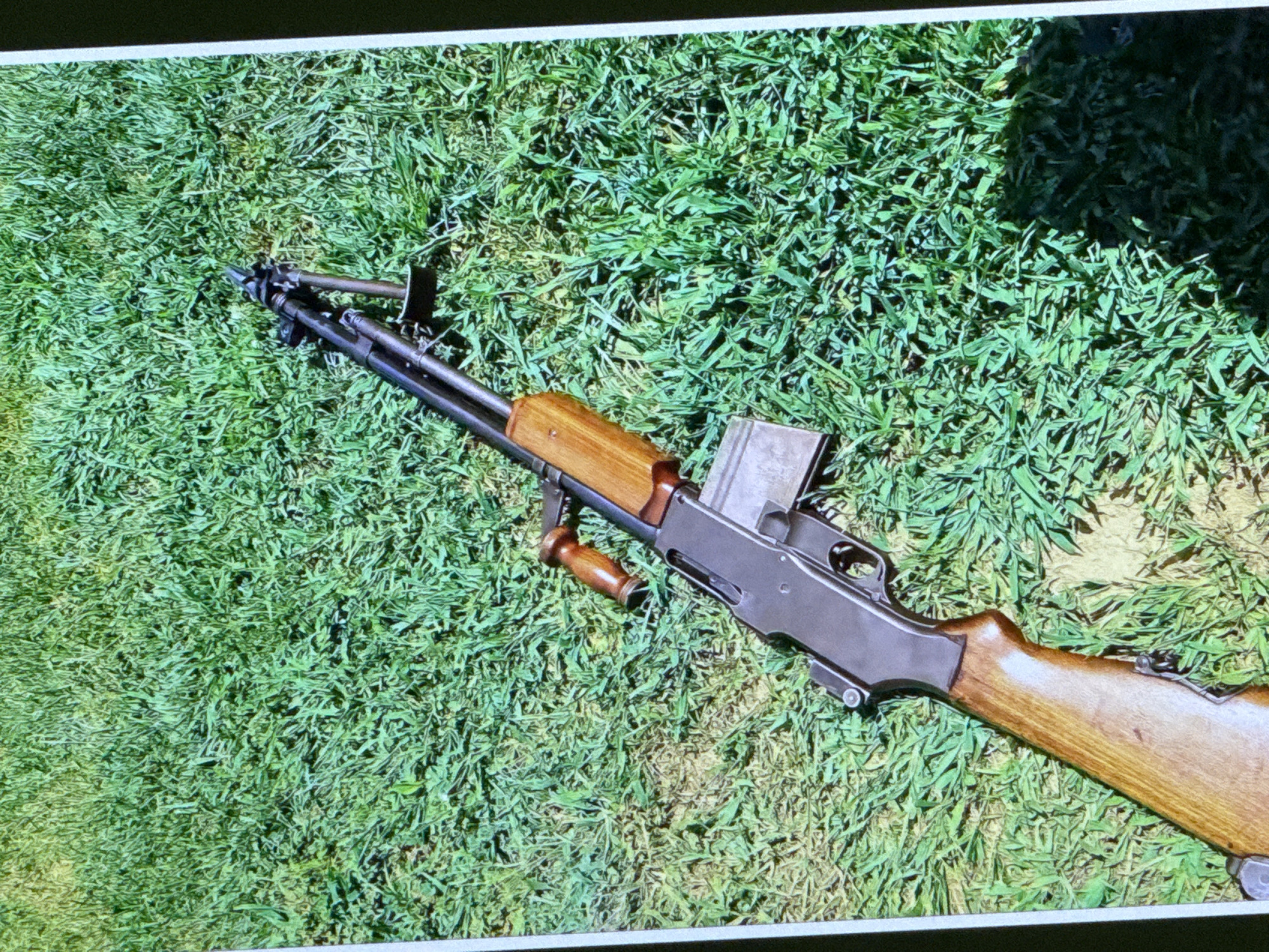 A rifle with a wooden stock and grip rests on a lawn of green grass. The rifle is angled diagonally across the frame, with the barrel pointing towards the upper right. The grass appears well-maintained and is in focus. No people or other objects are visible in the image. The location in the city of Cahul, Moldova, cannot be determined from the provided image.